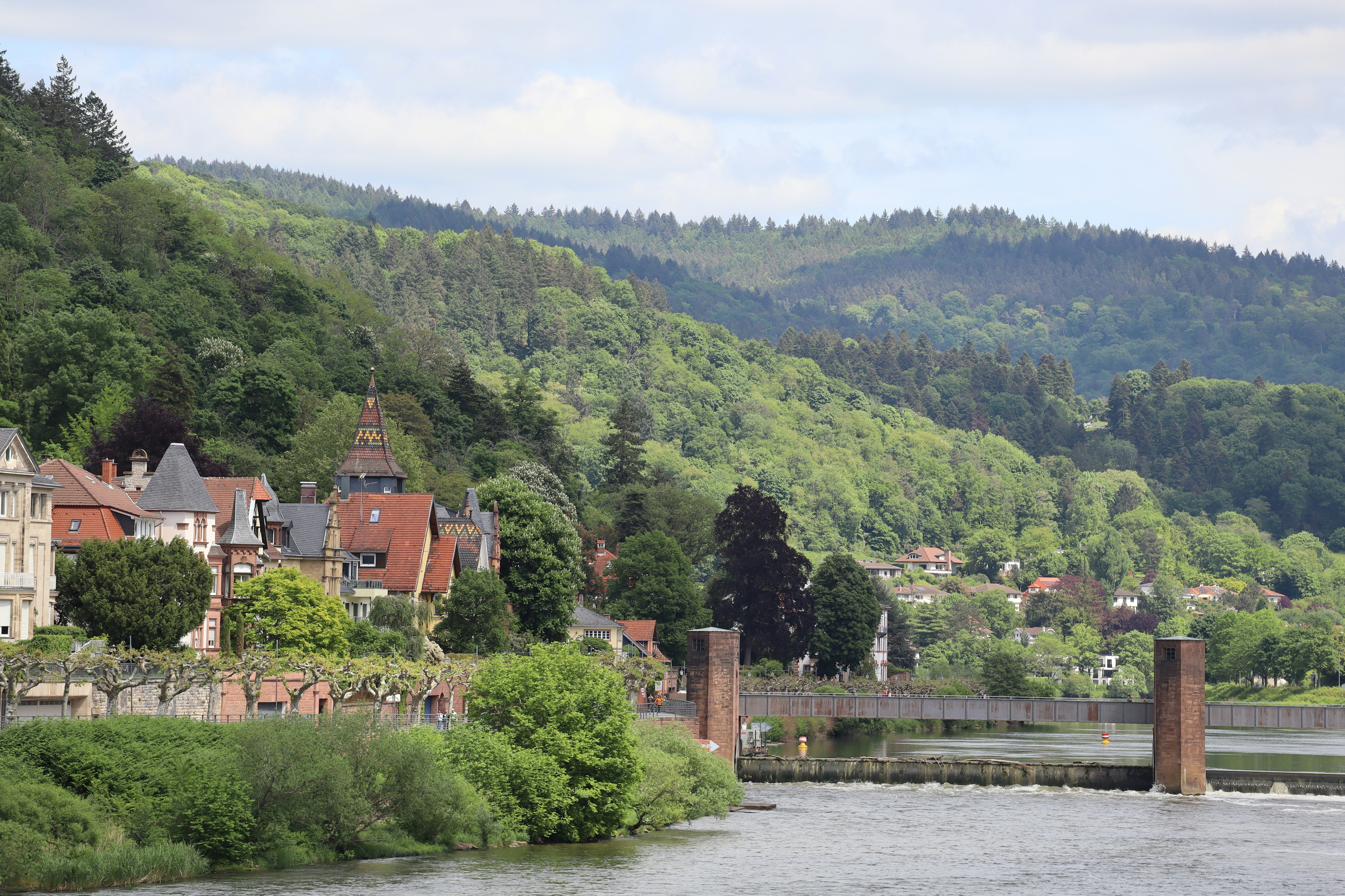 Weather in Heidelberg: Best Time to Visit (2026)
