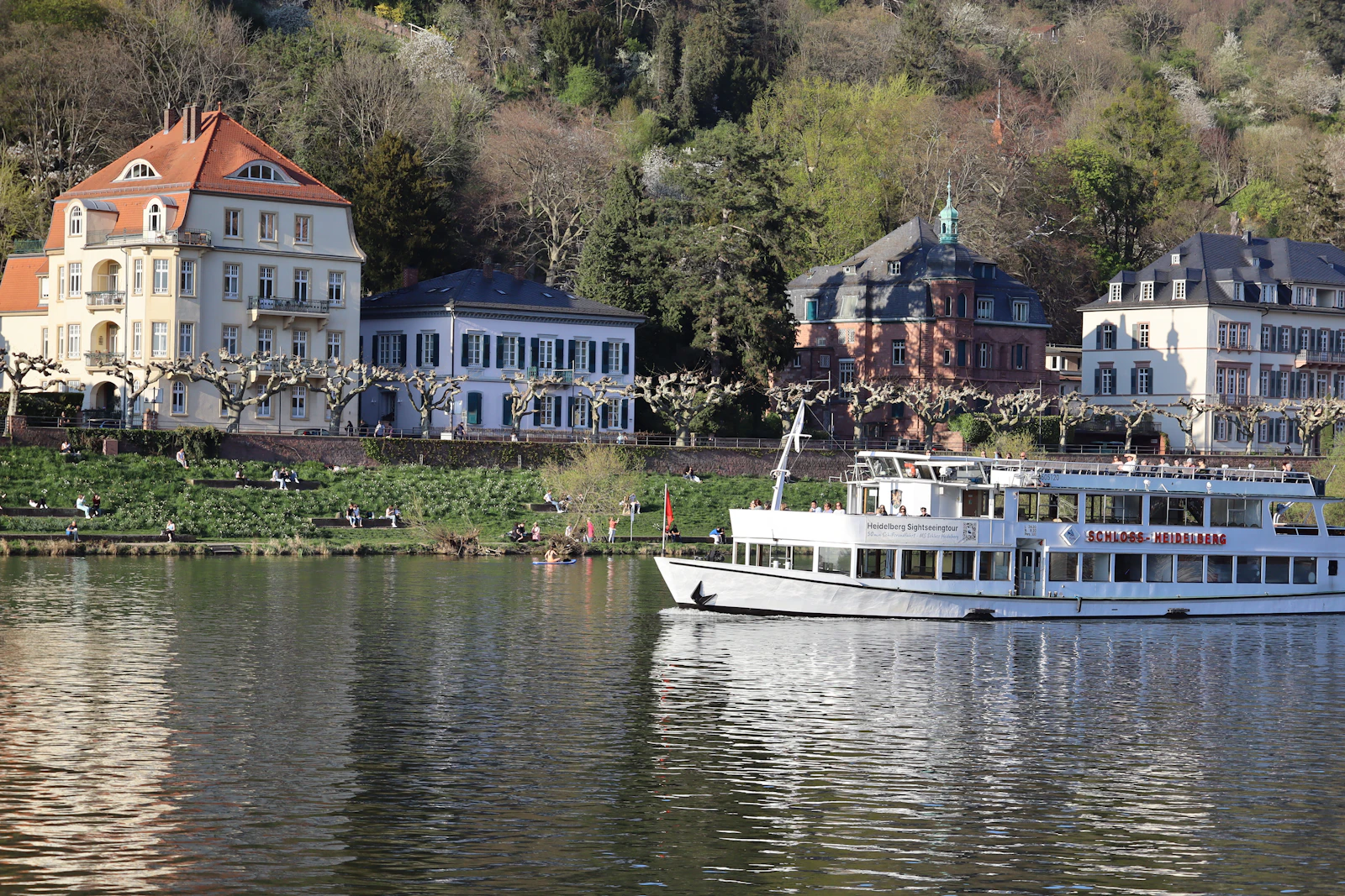 Heidelberg Neckar Sightseeing Cruise with a Drink on Board