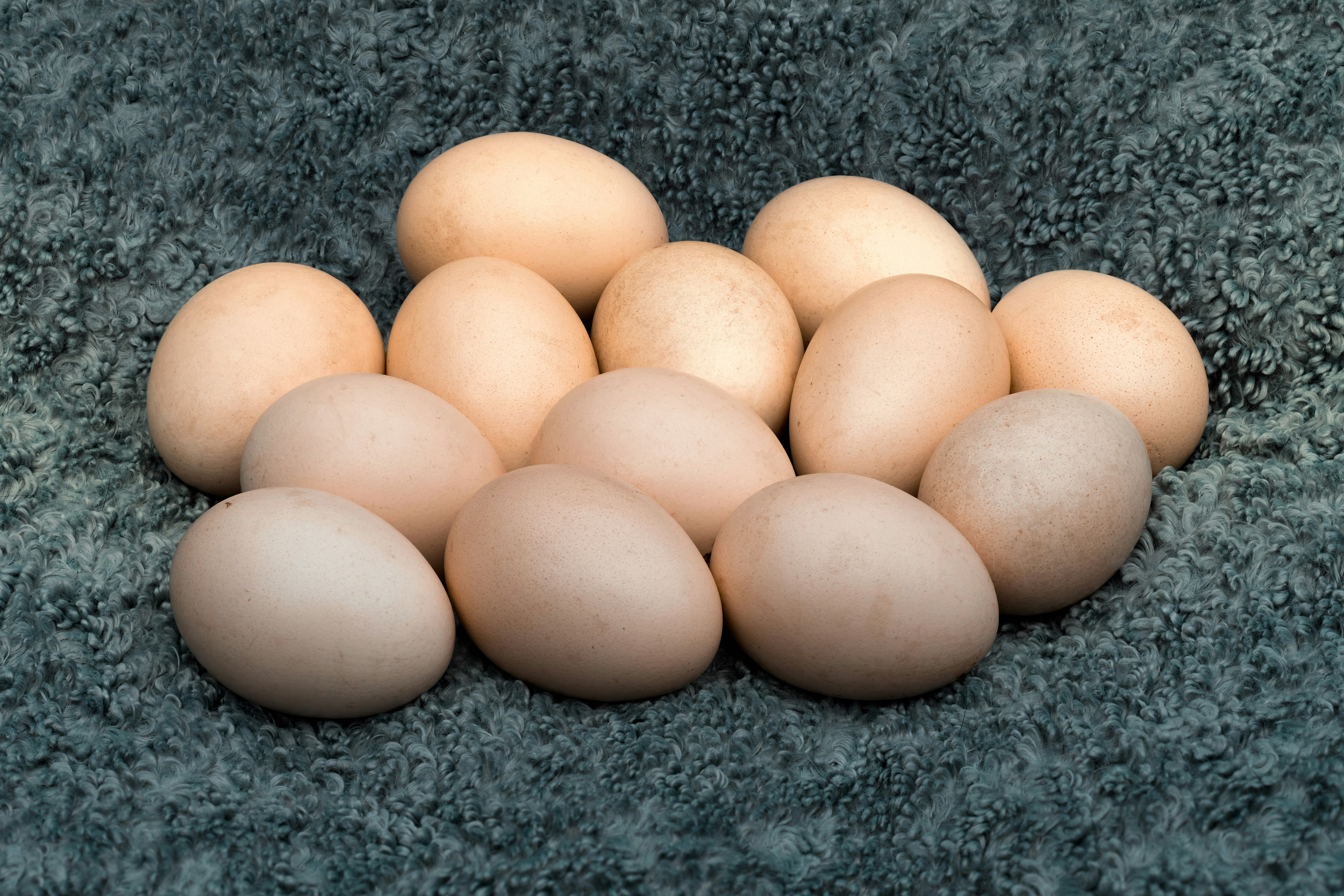 Free Range Eggs · Size 6