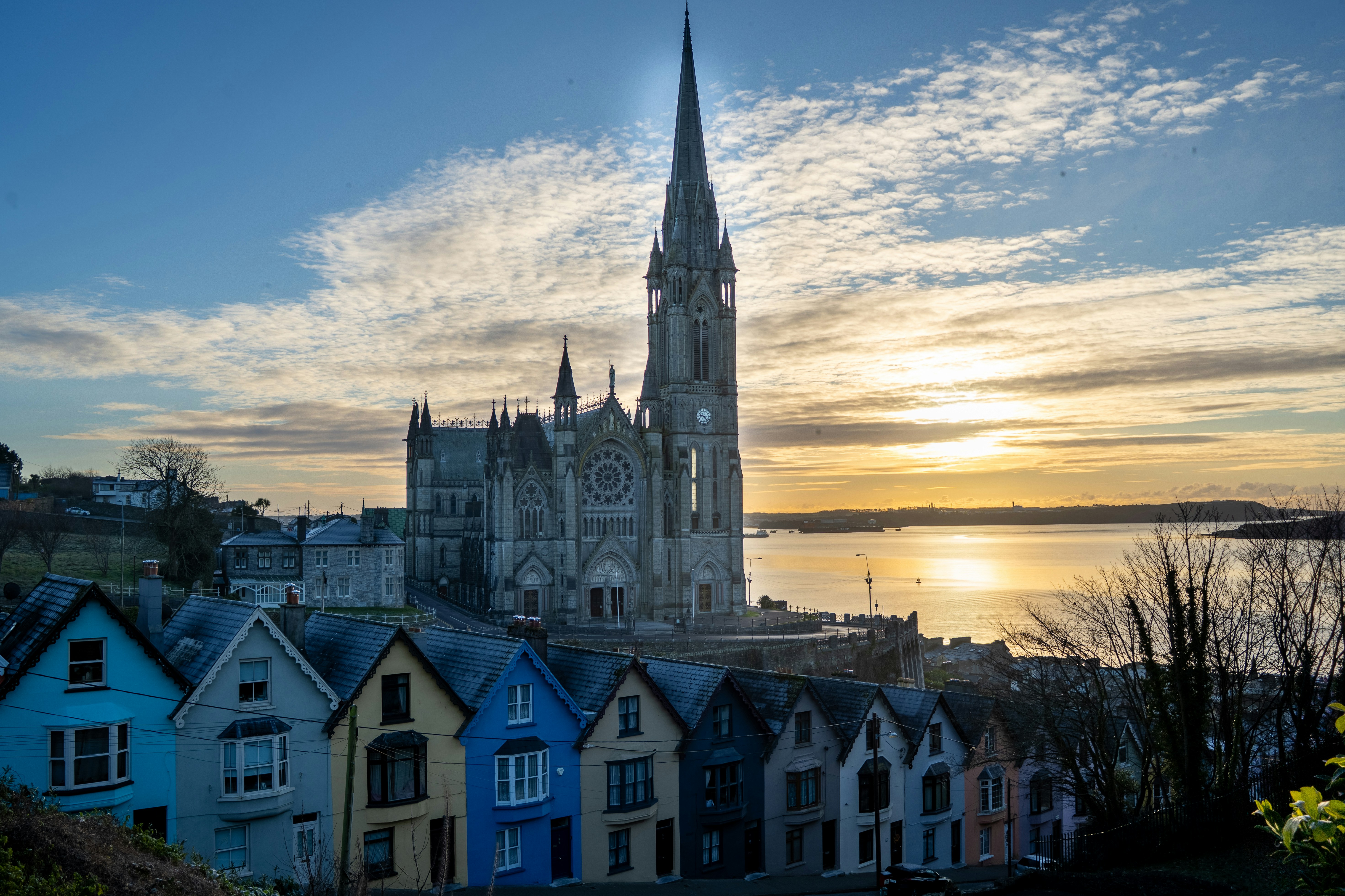 Cork