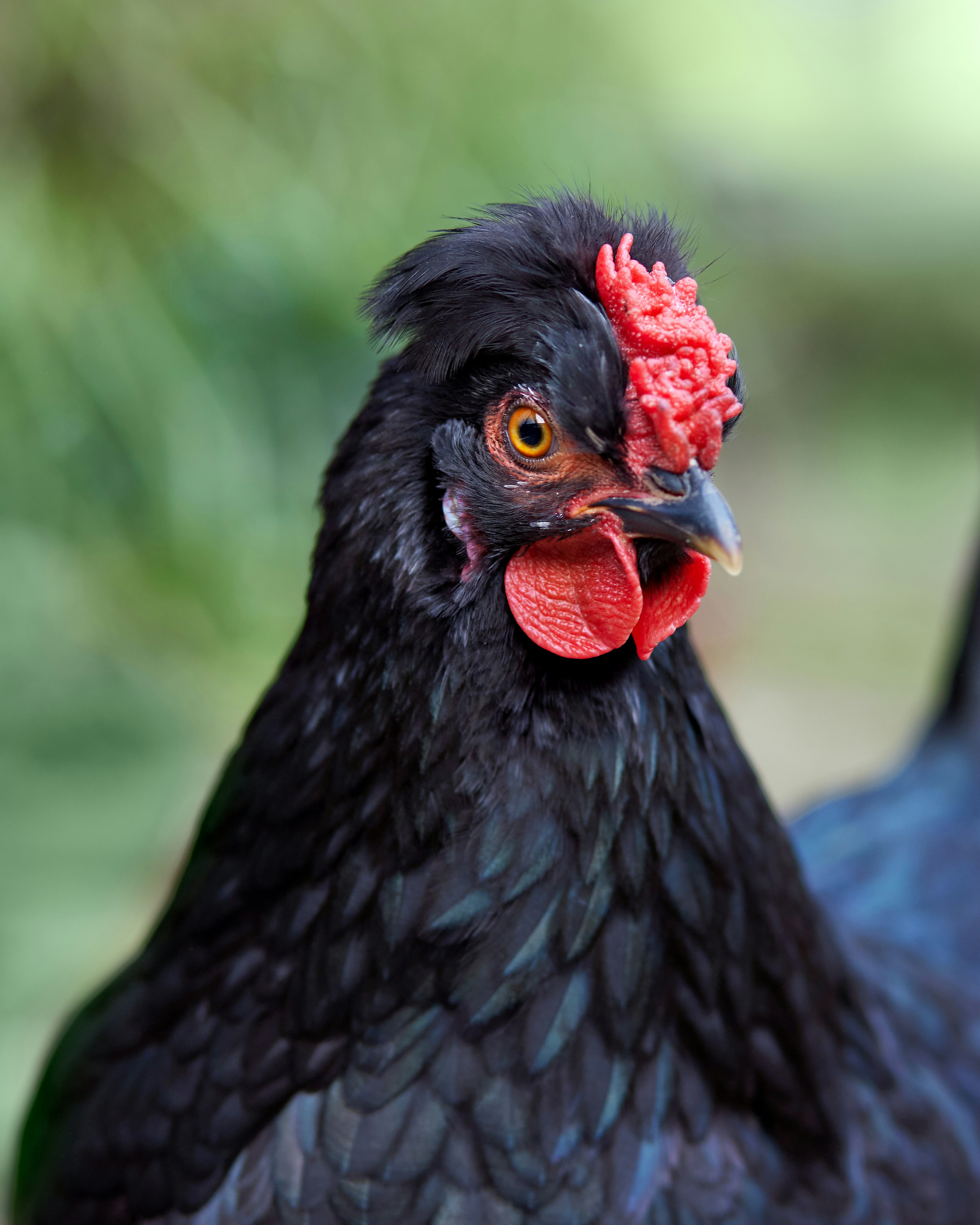 Photo by erwinbosman