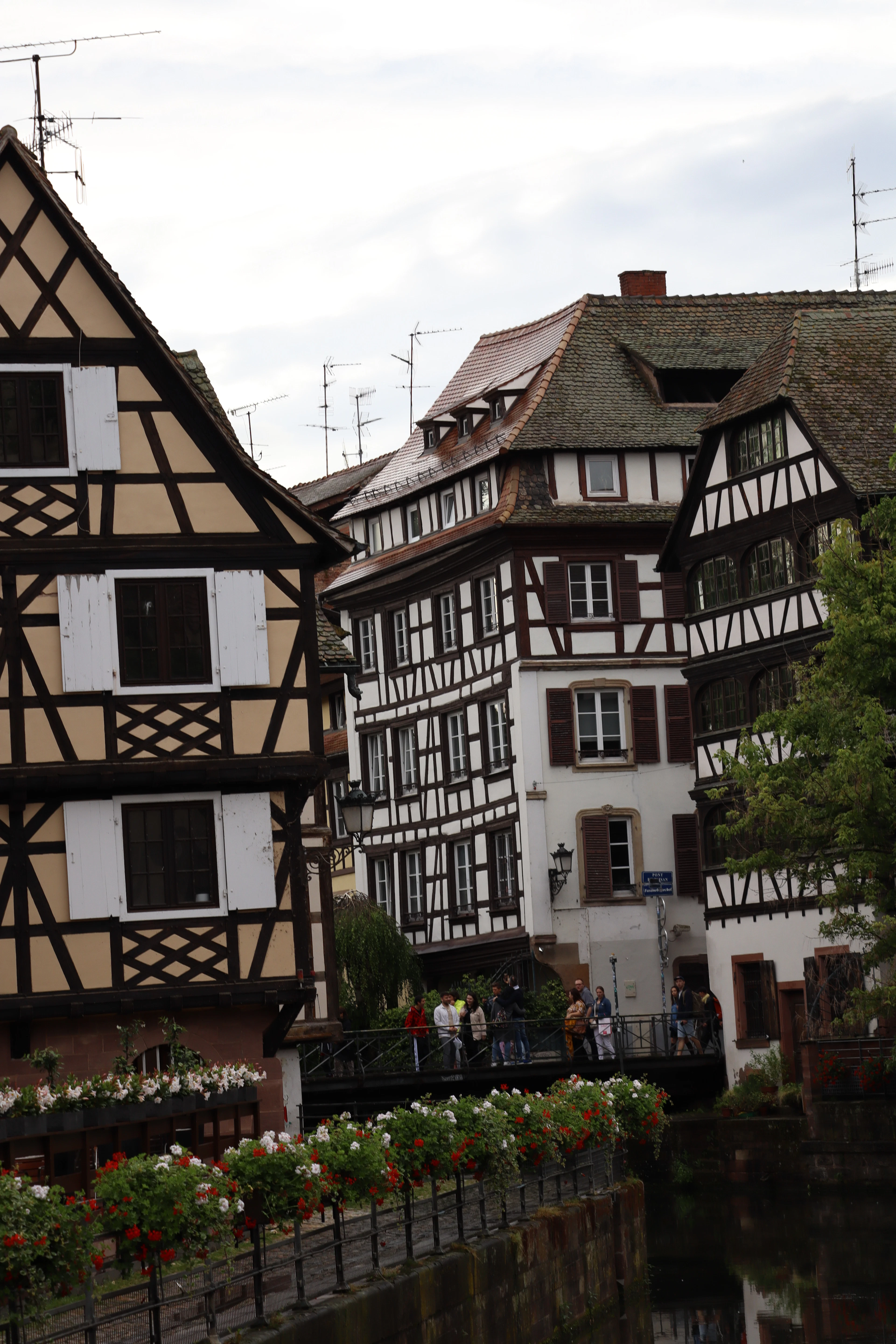 Half-timbered houses and flower boxes along a canal in Strasbourg's Petite France quarter