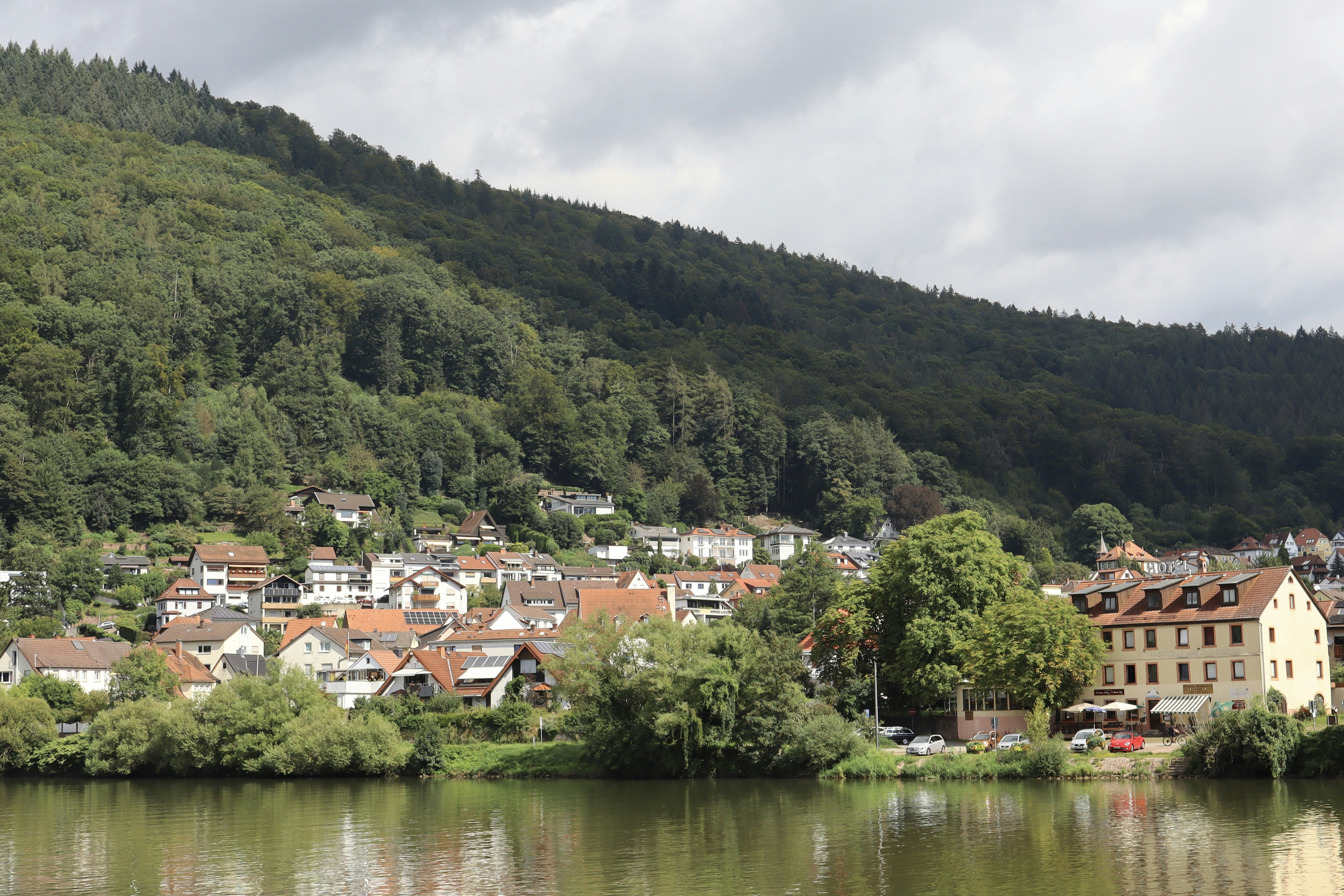 Der Fluss fließt an einer kleinen Stadt vorbei, die in einem Wald liegt.