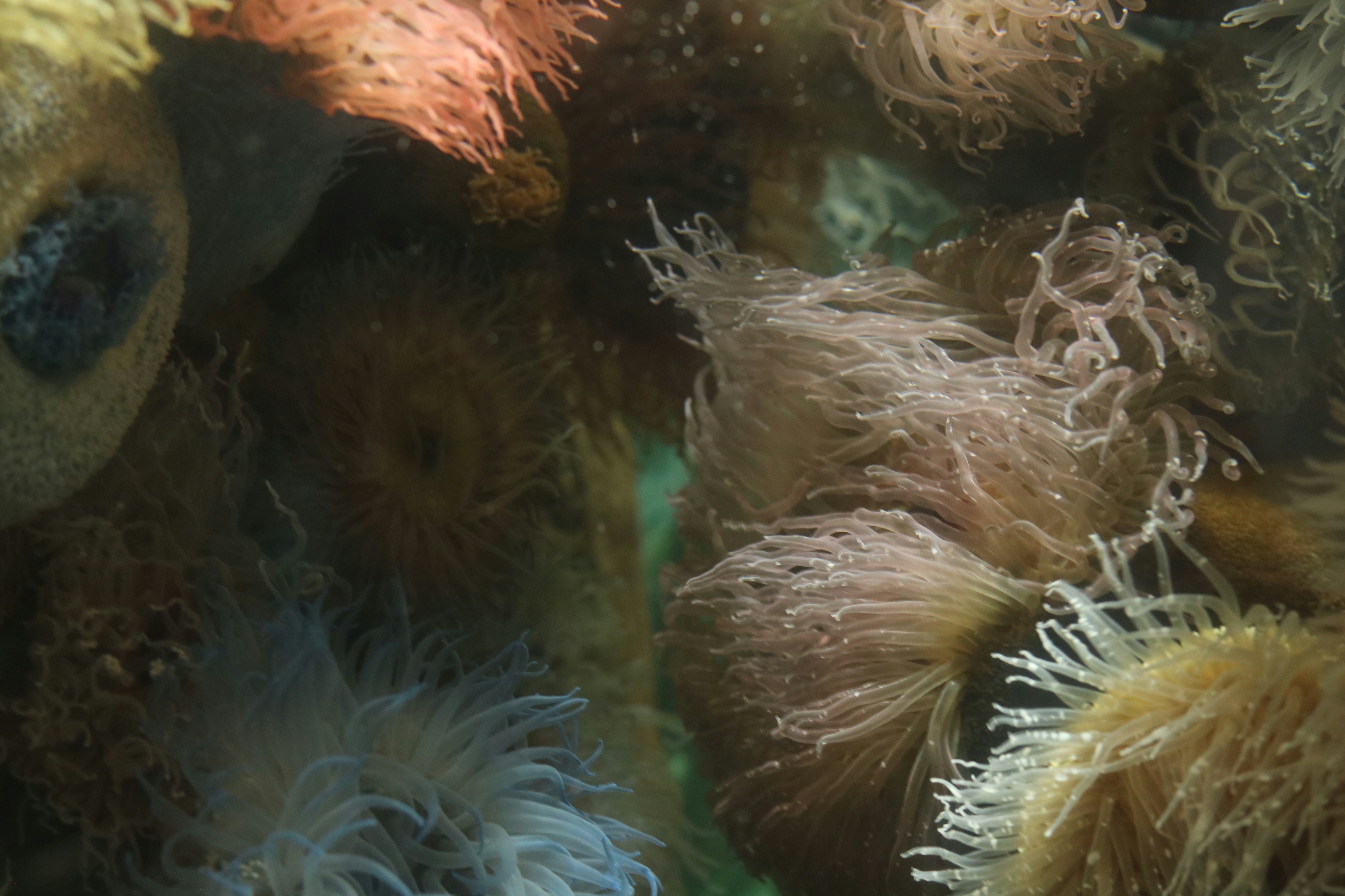 Photo by allysphotos