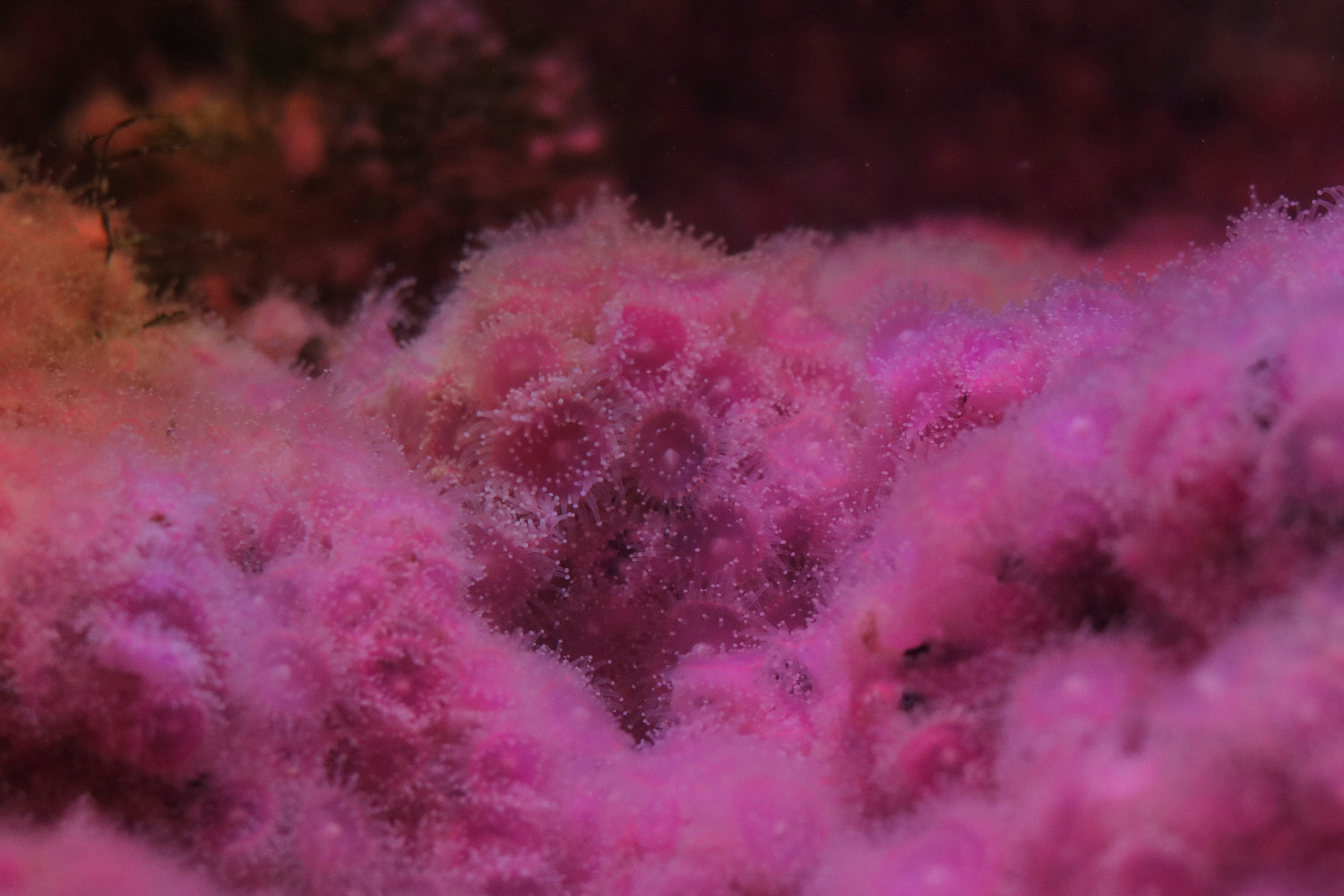 Photo by allysphotos