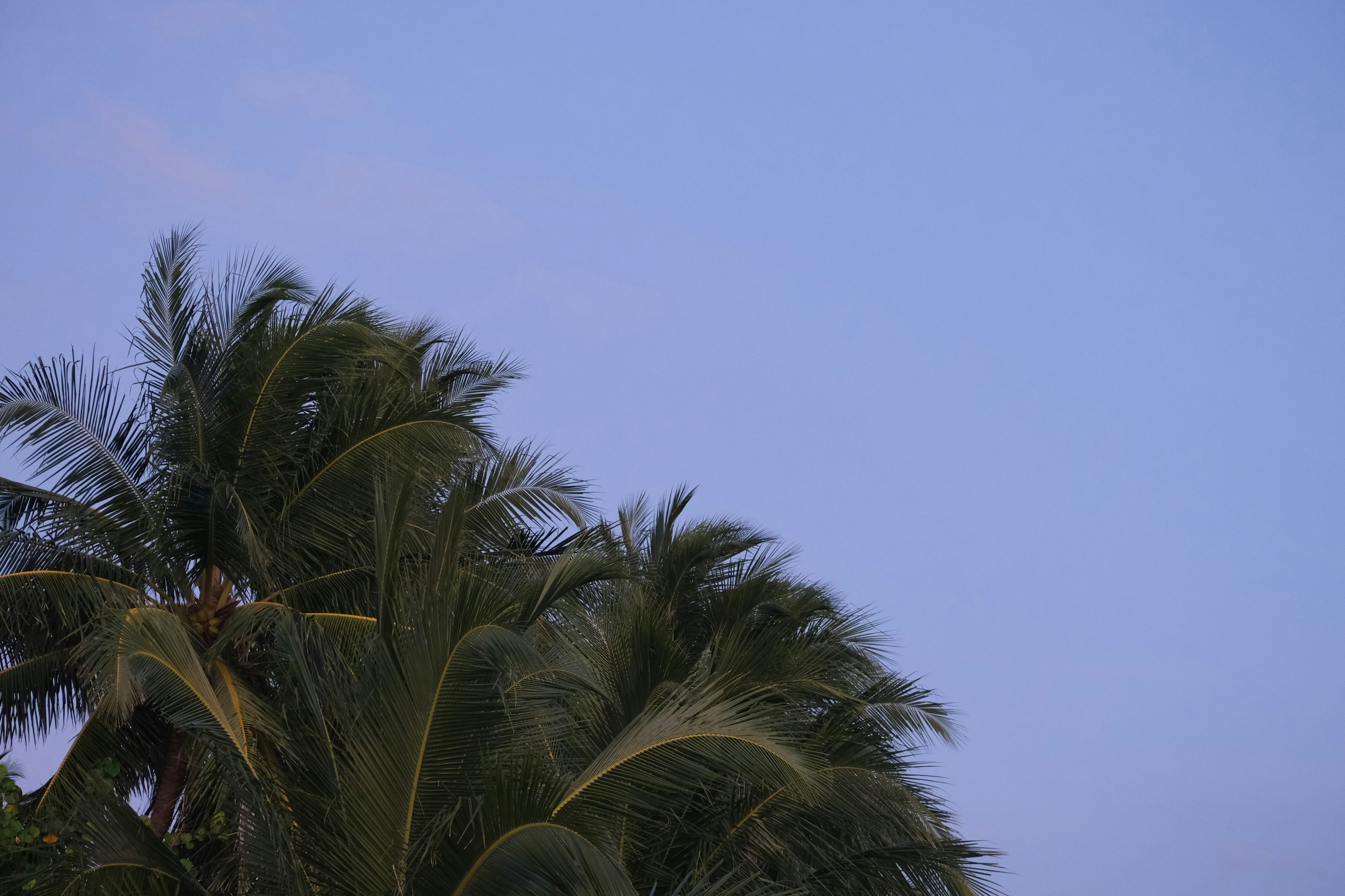 Photo by sara_thaundrdawg