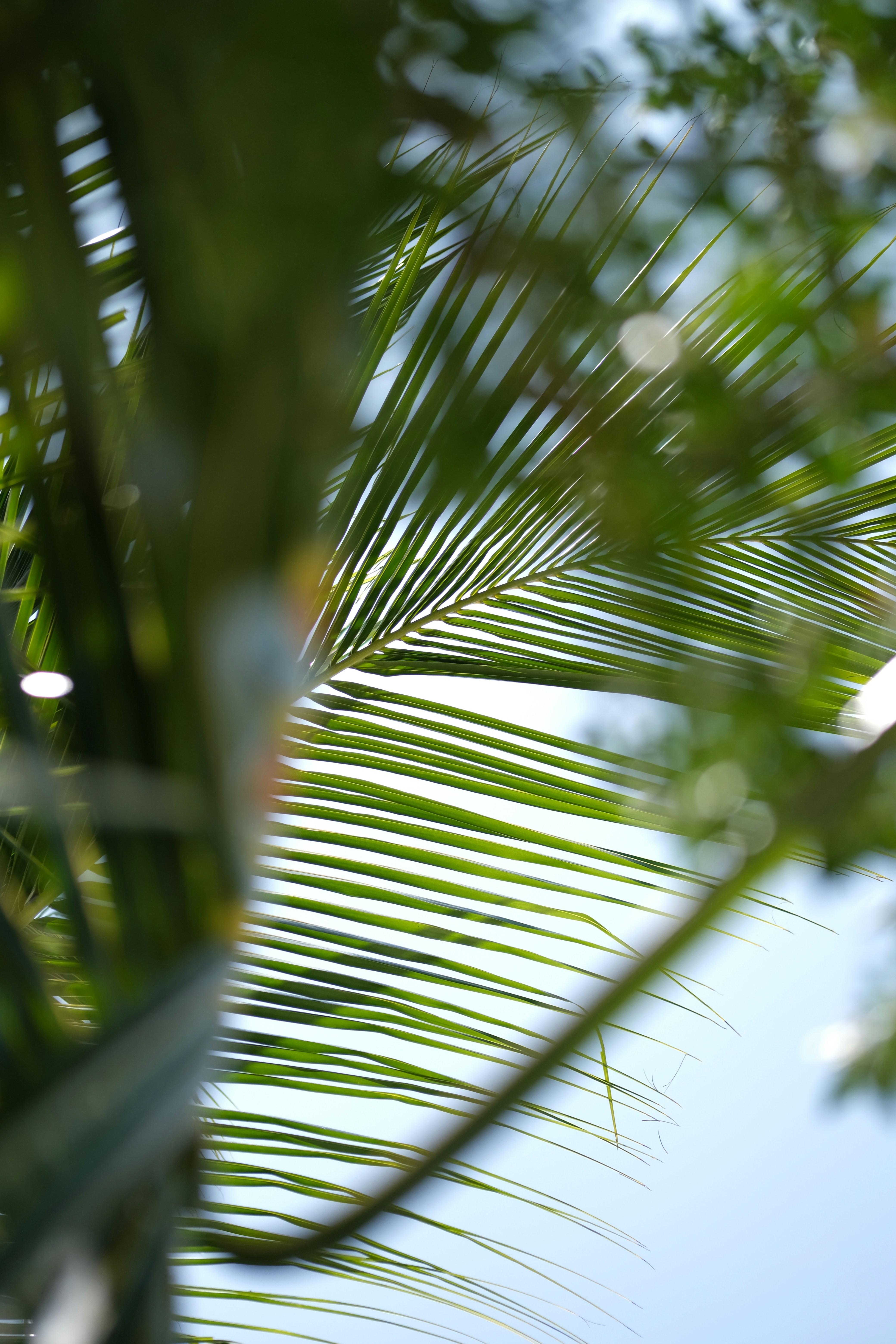 Photo by sara_thaundrdawg