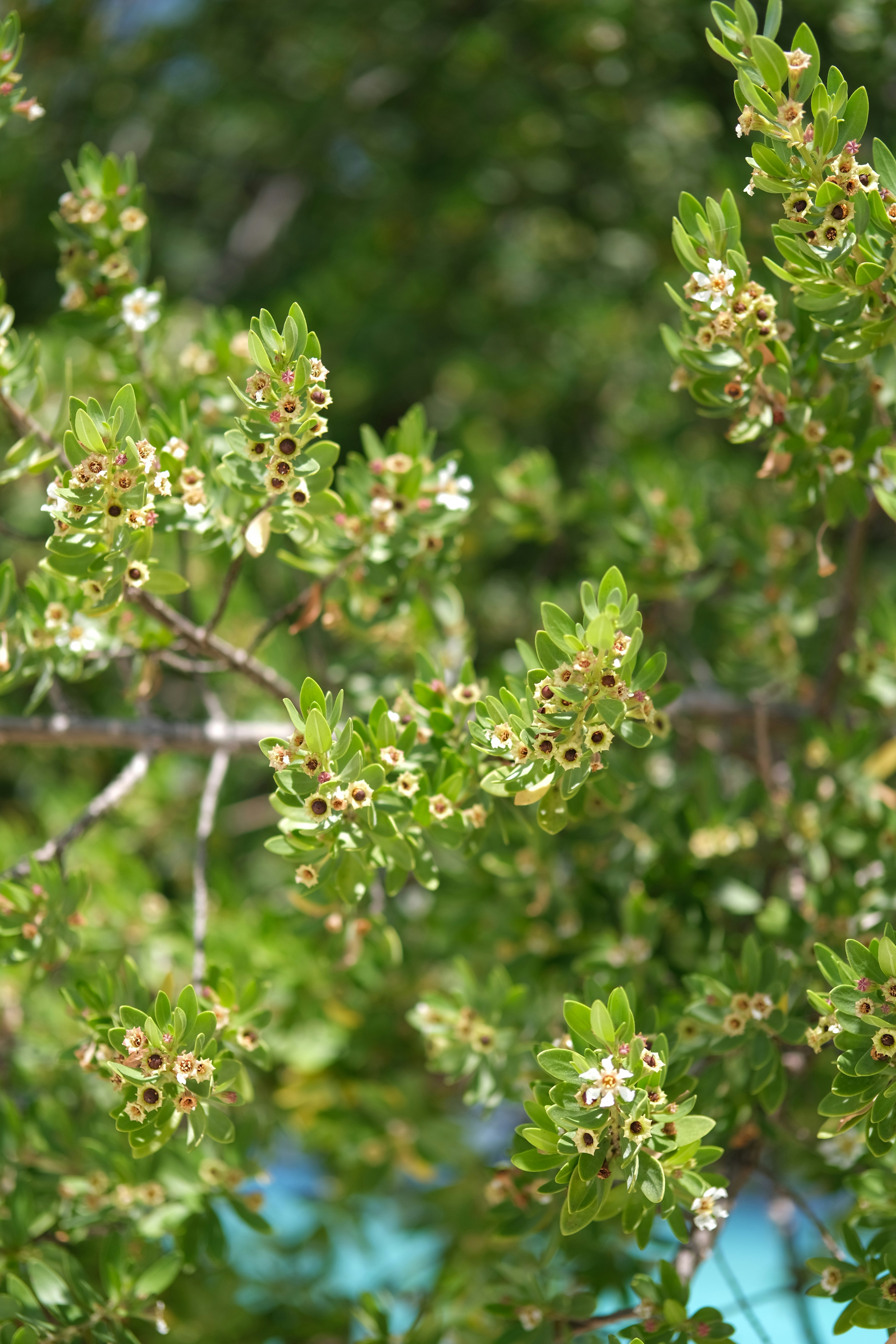 Photo by sara_thaundrdawg