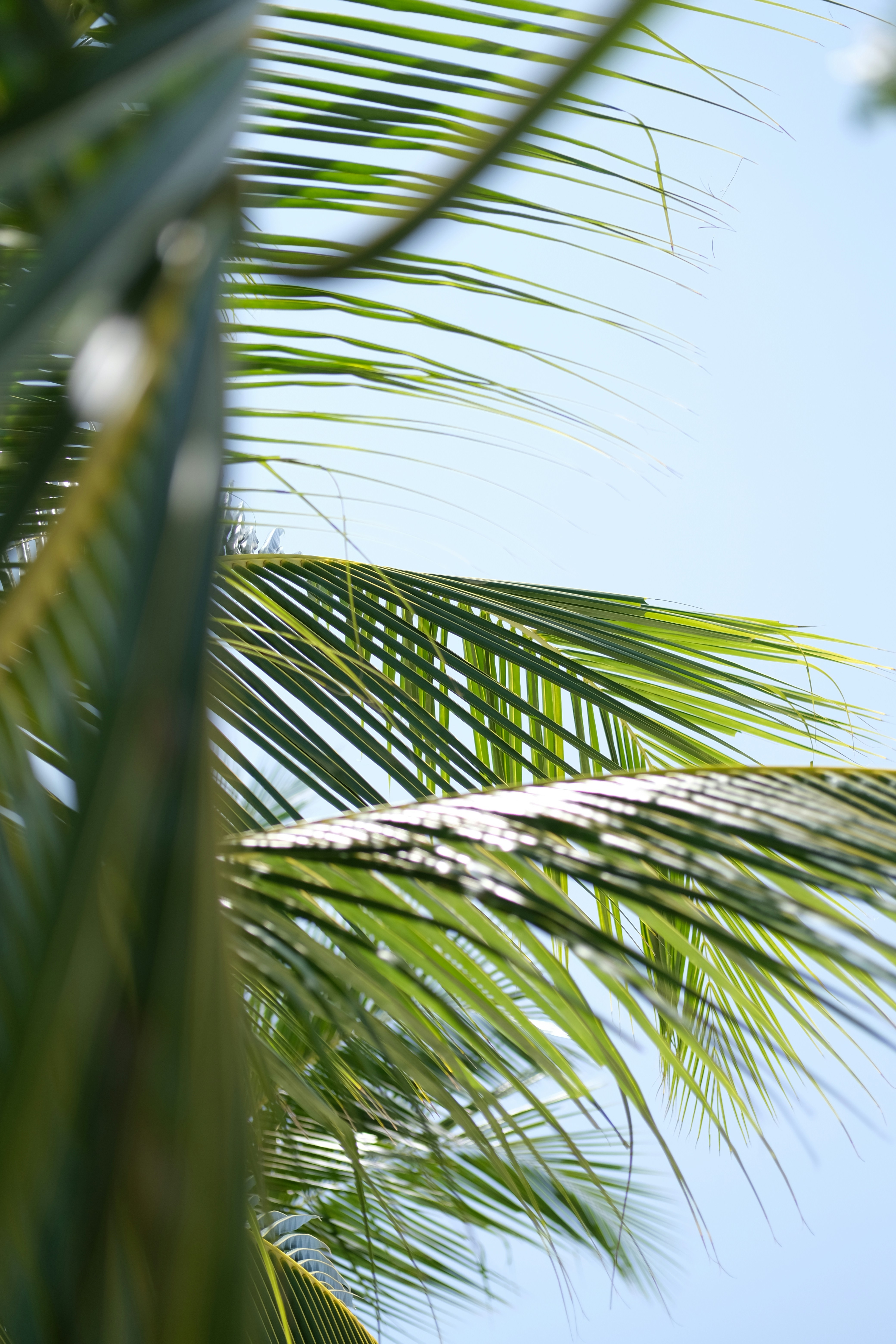 Photo by sara_thaundrdawg