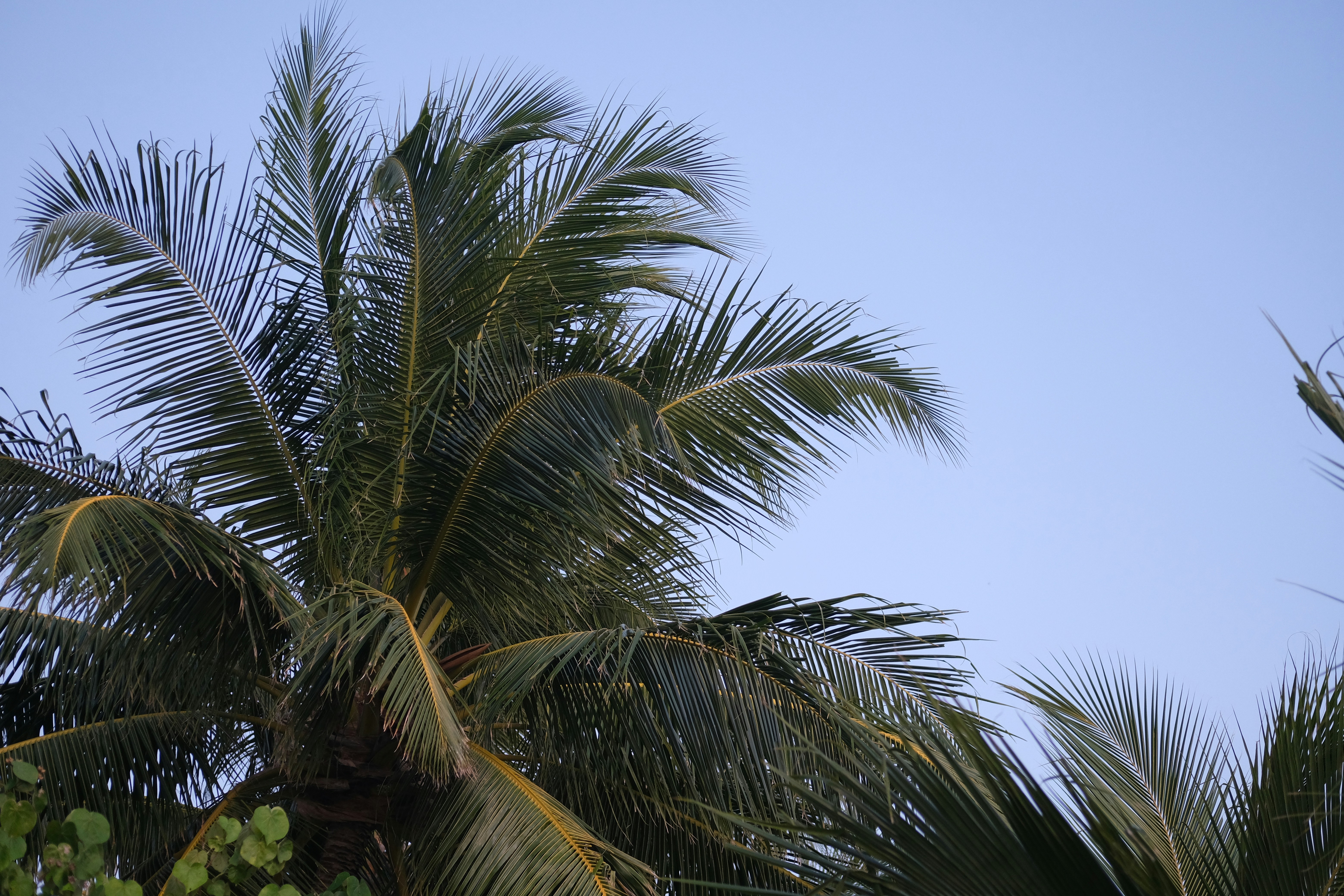 Photo by sara_thaundrdawg