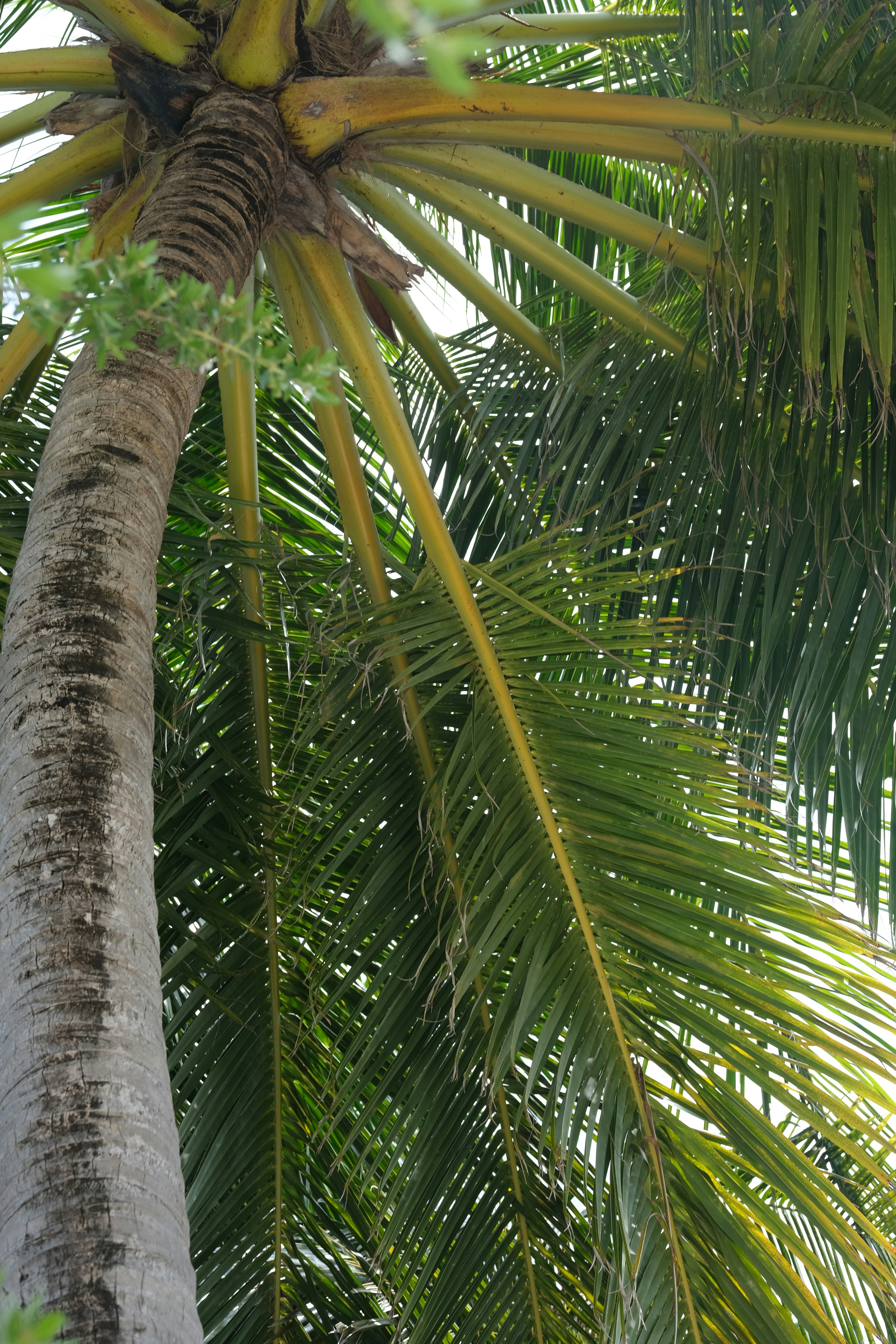 Photo by sara_thaundrdawg