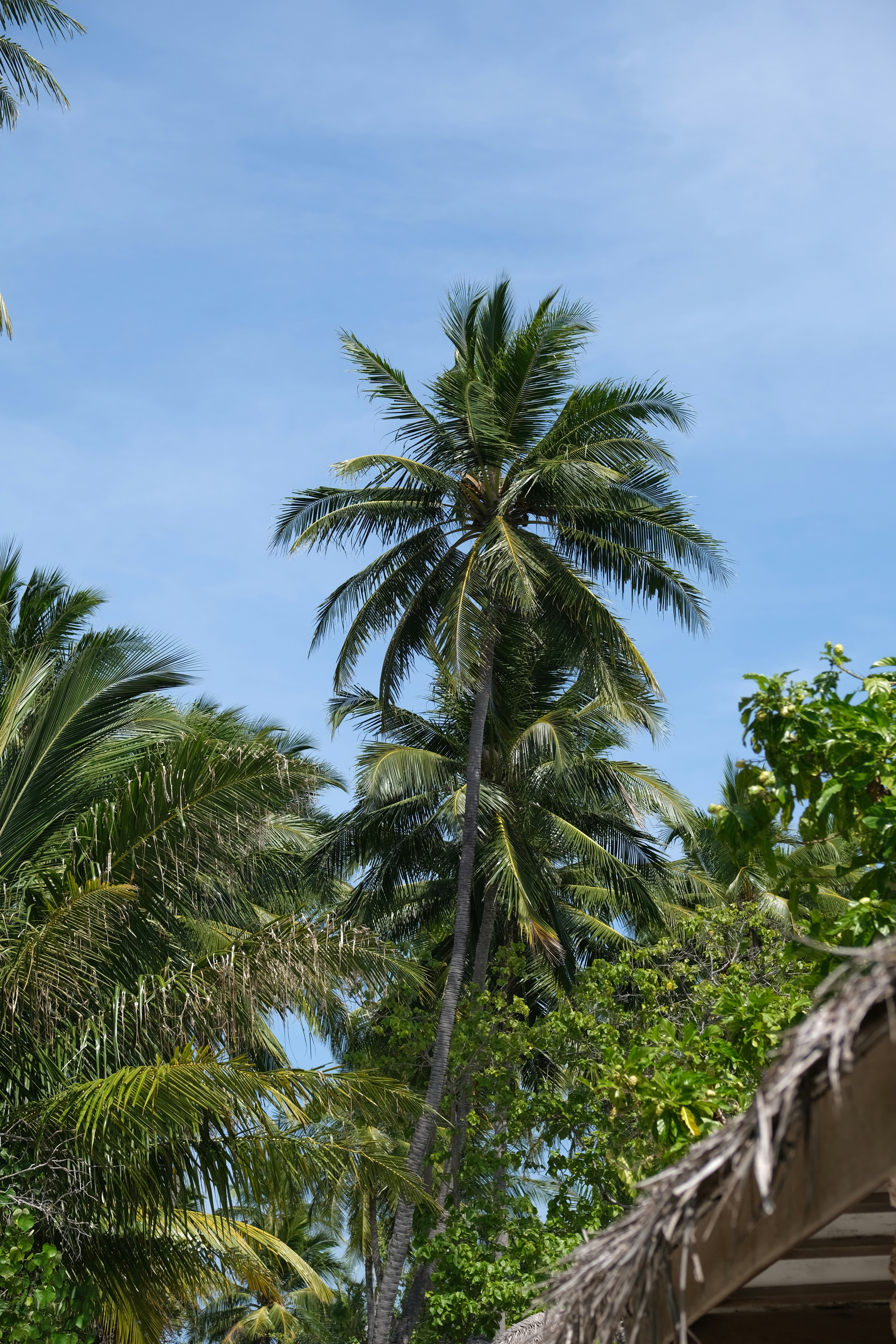 Photo by sara_thaundrdawg