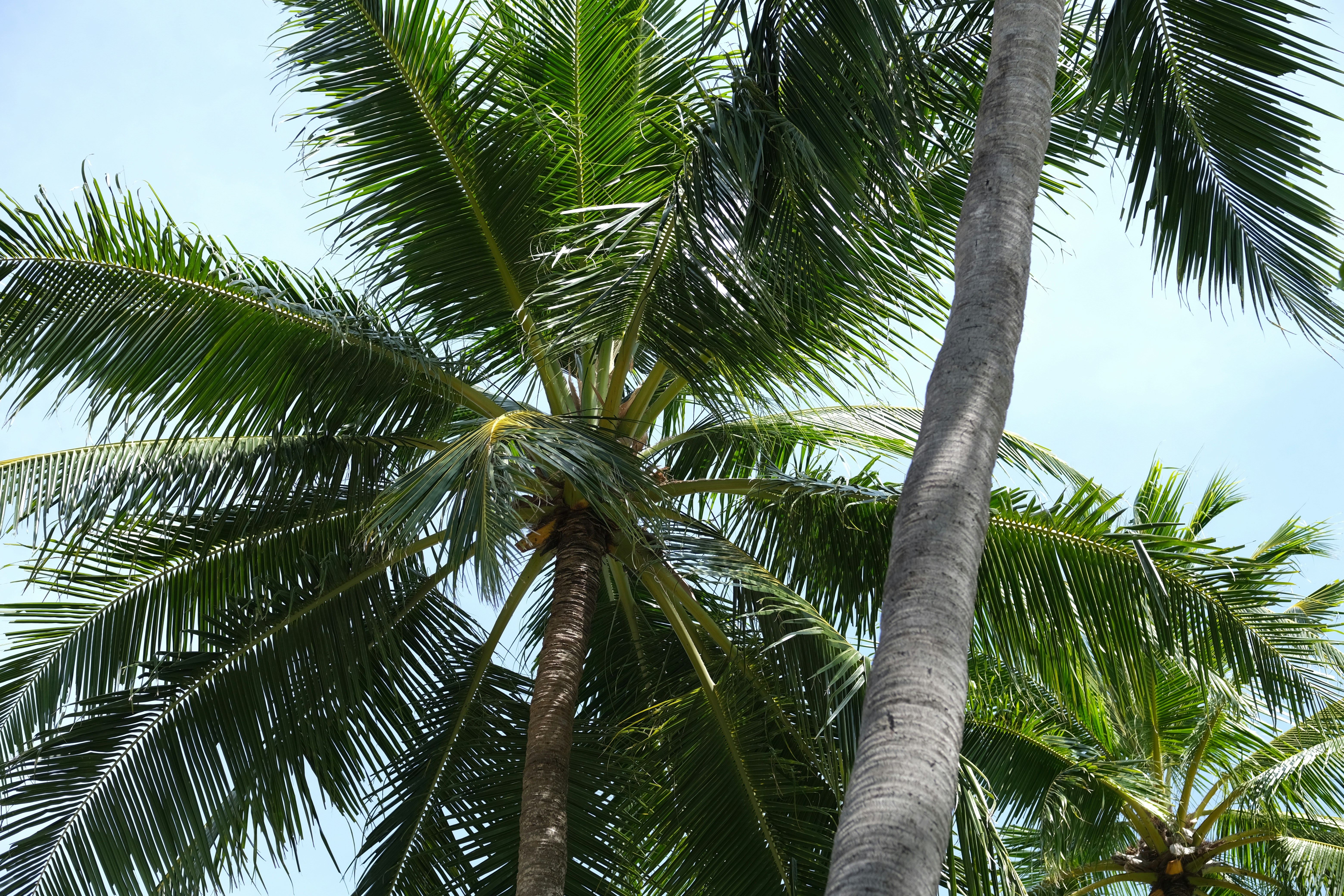 Photo by sara_thaundrdawg