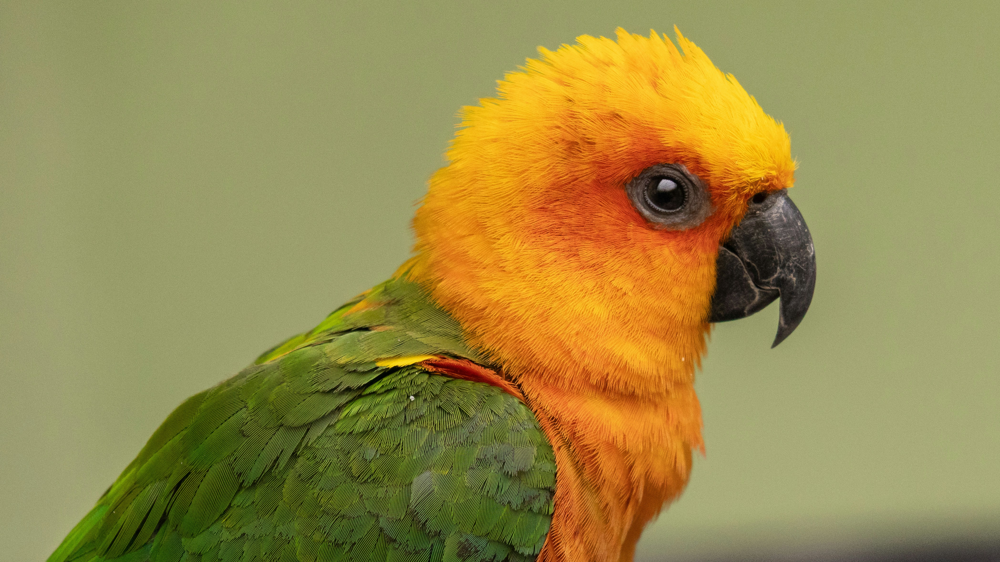 Photo by suryadoingstuff