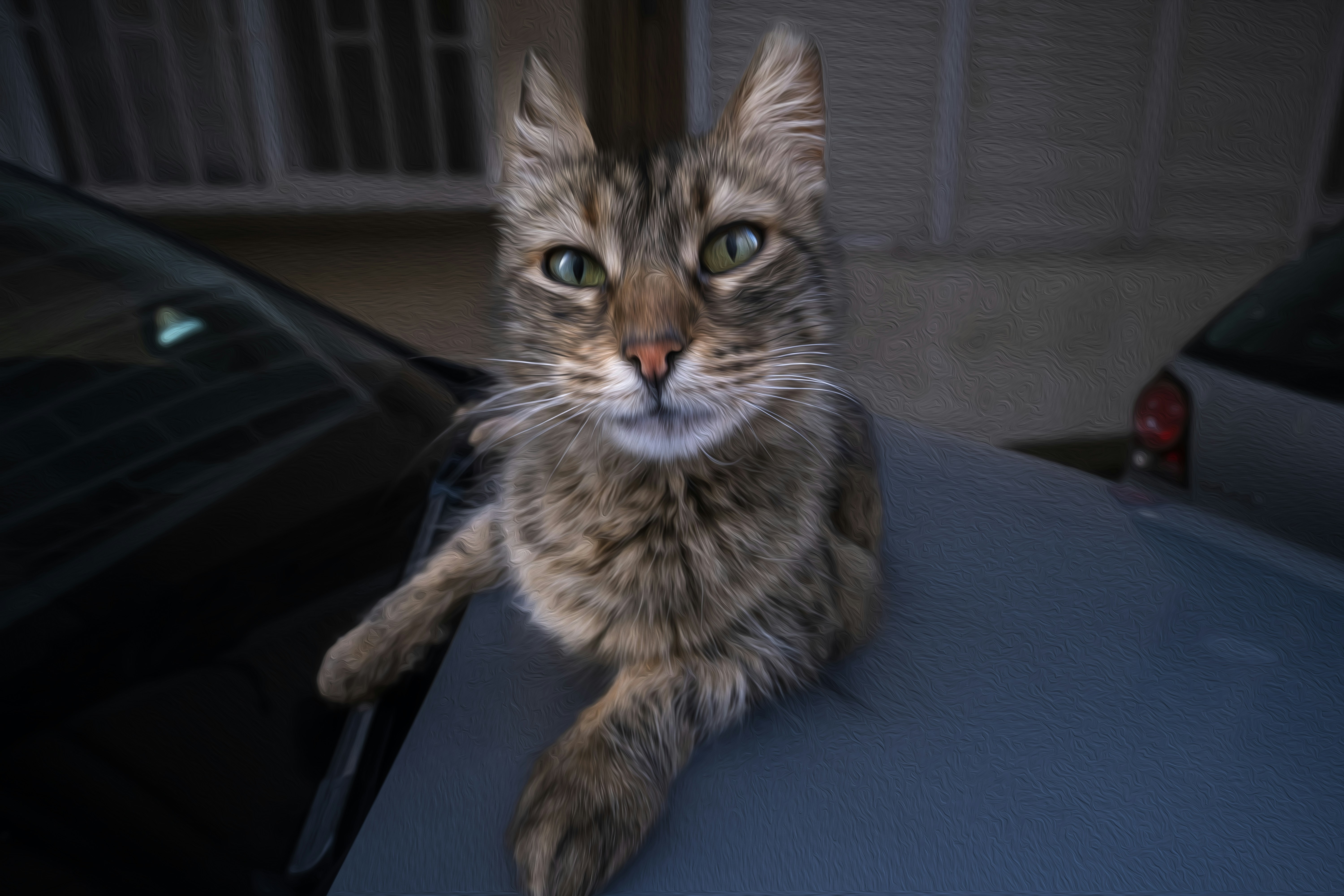 Un gato atigrado descansa sobre el capó de un coche