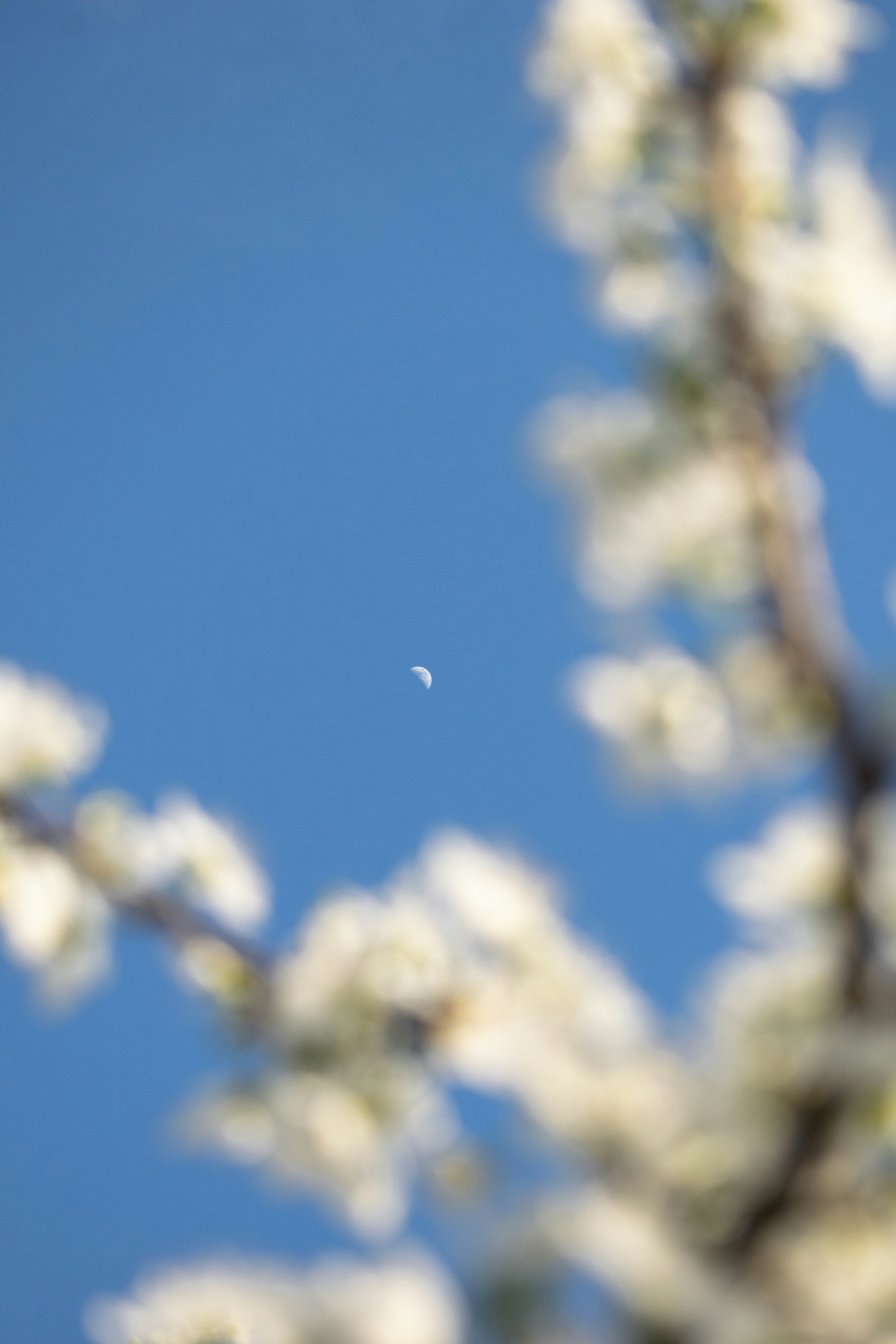 Photo by alexandre13