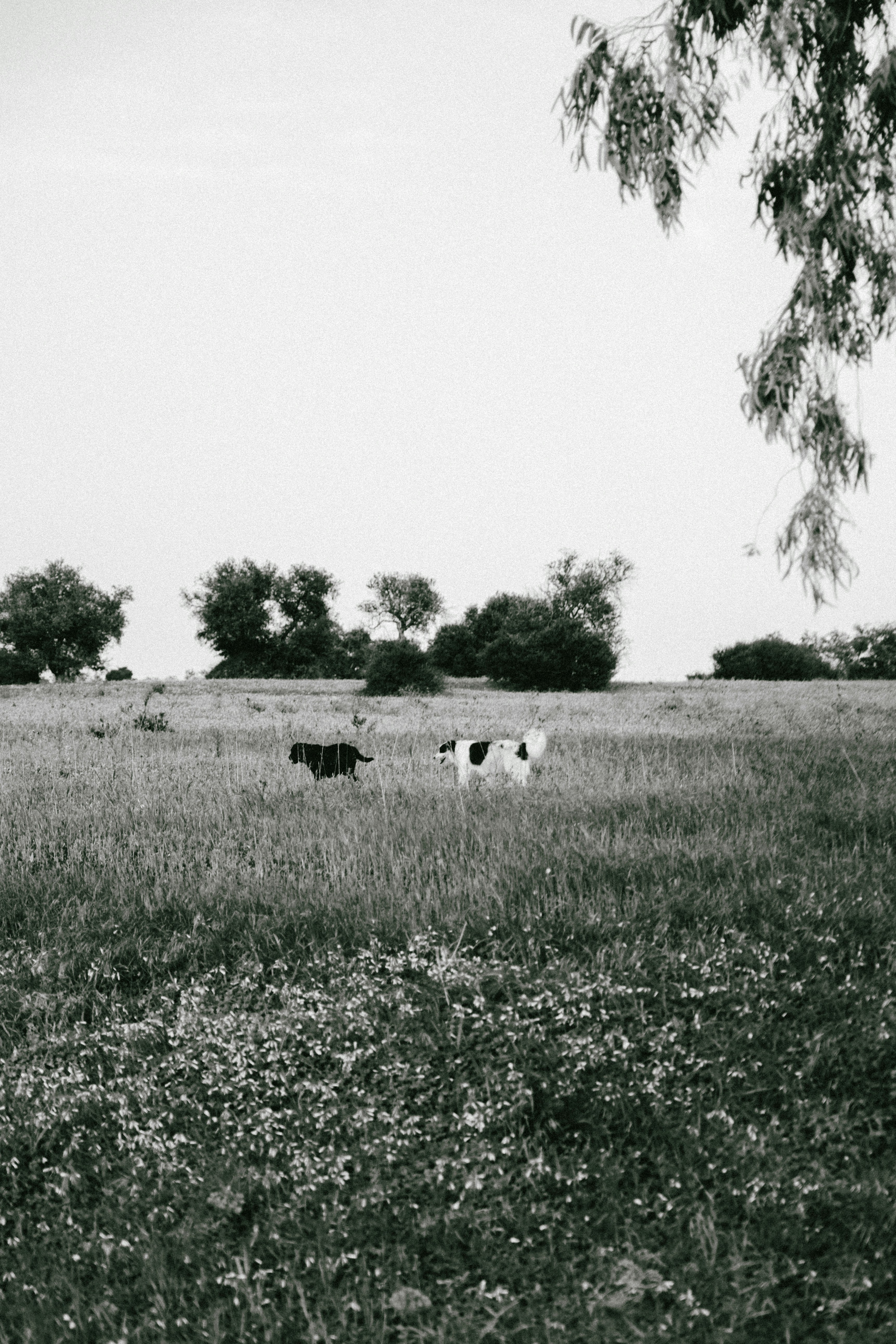 Photo by mrpeppeocchipinti