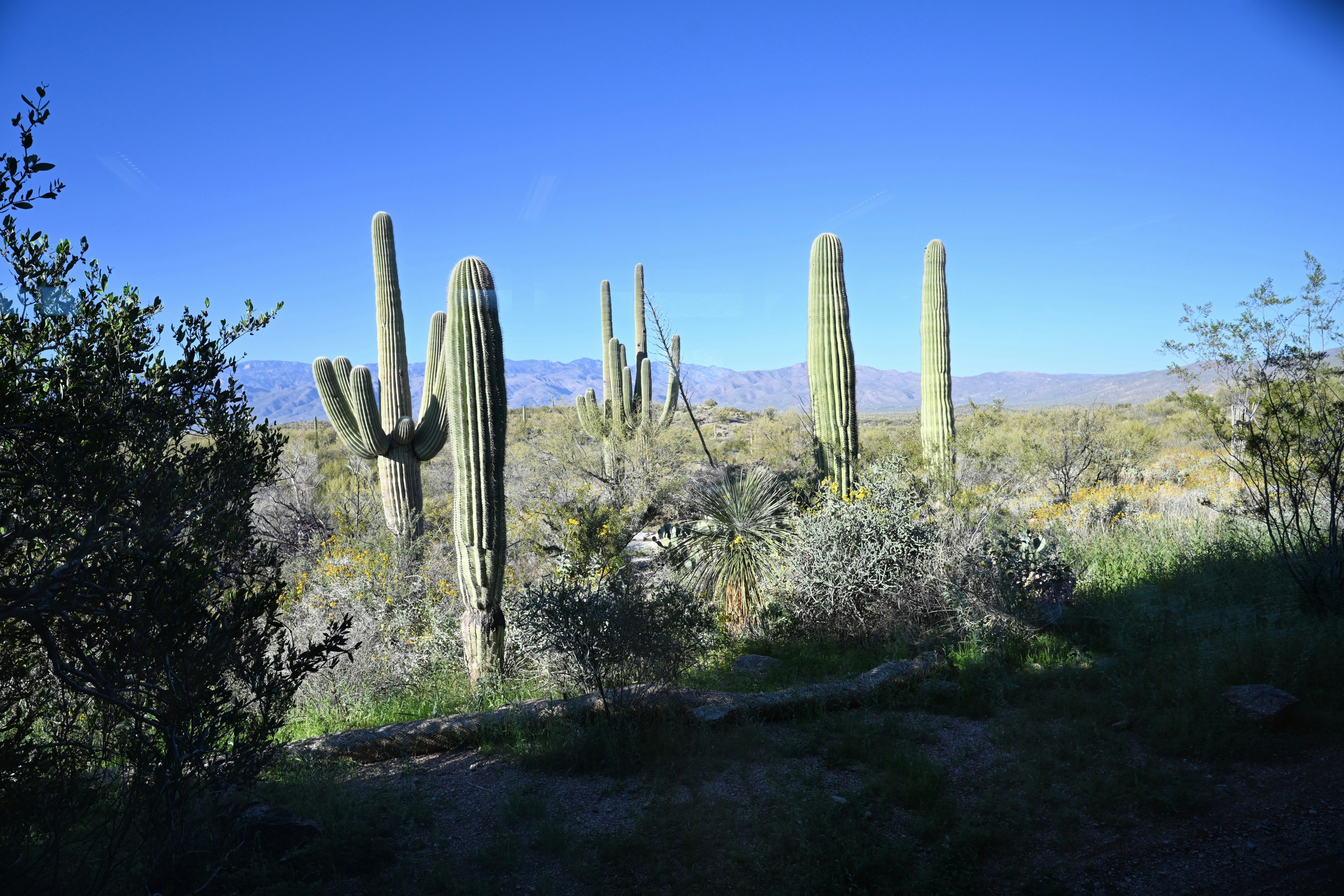 Heartland Ranch Park