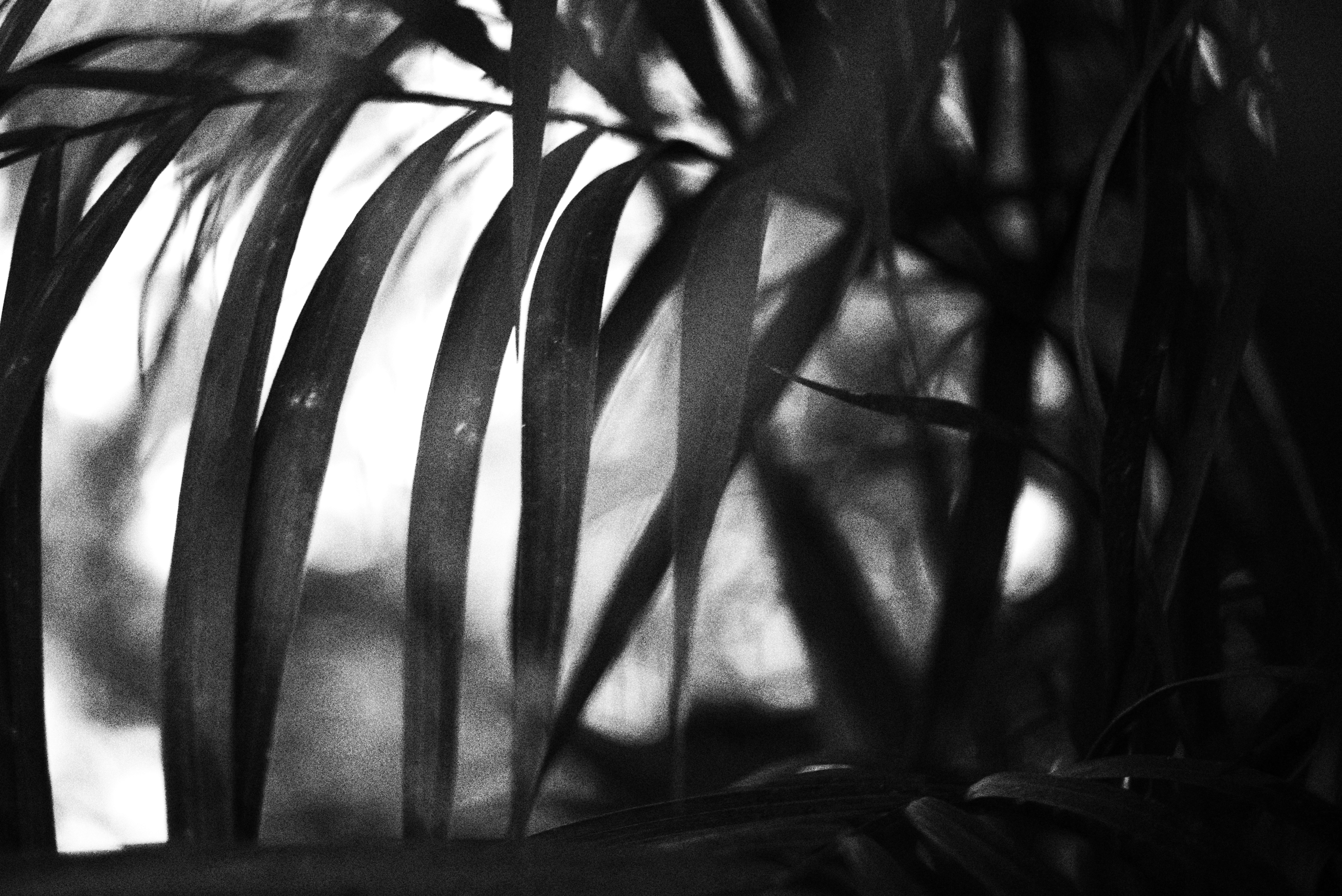 Photo by cherstve_pechivo