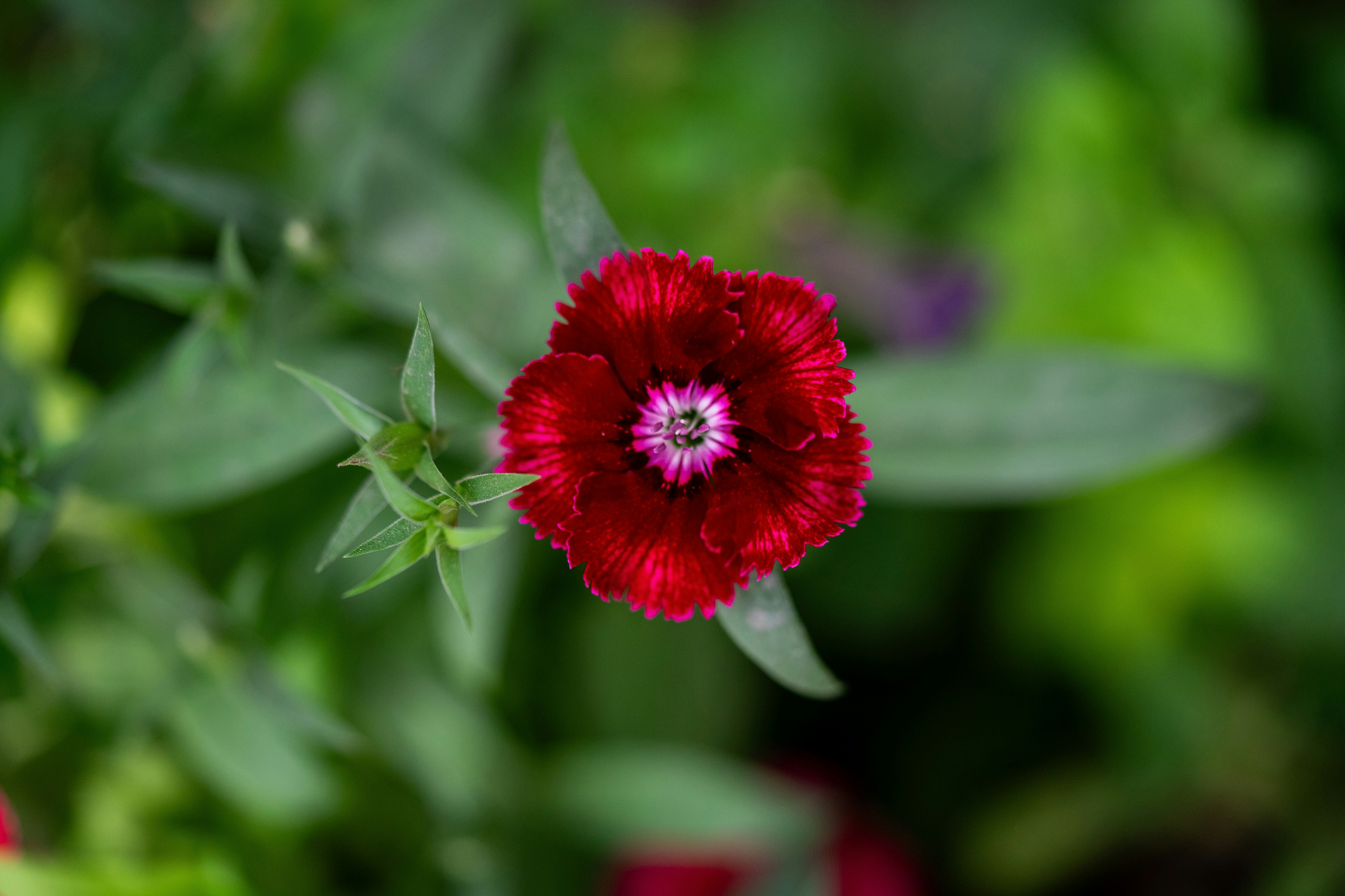 Photo by drajeshr