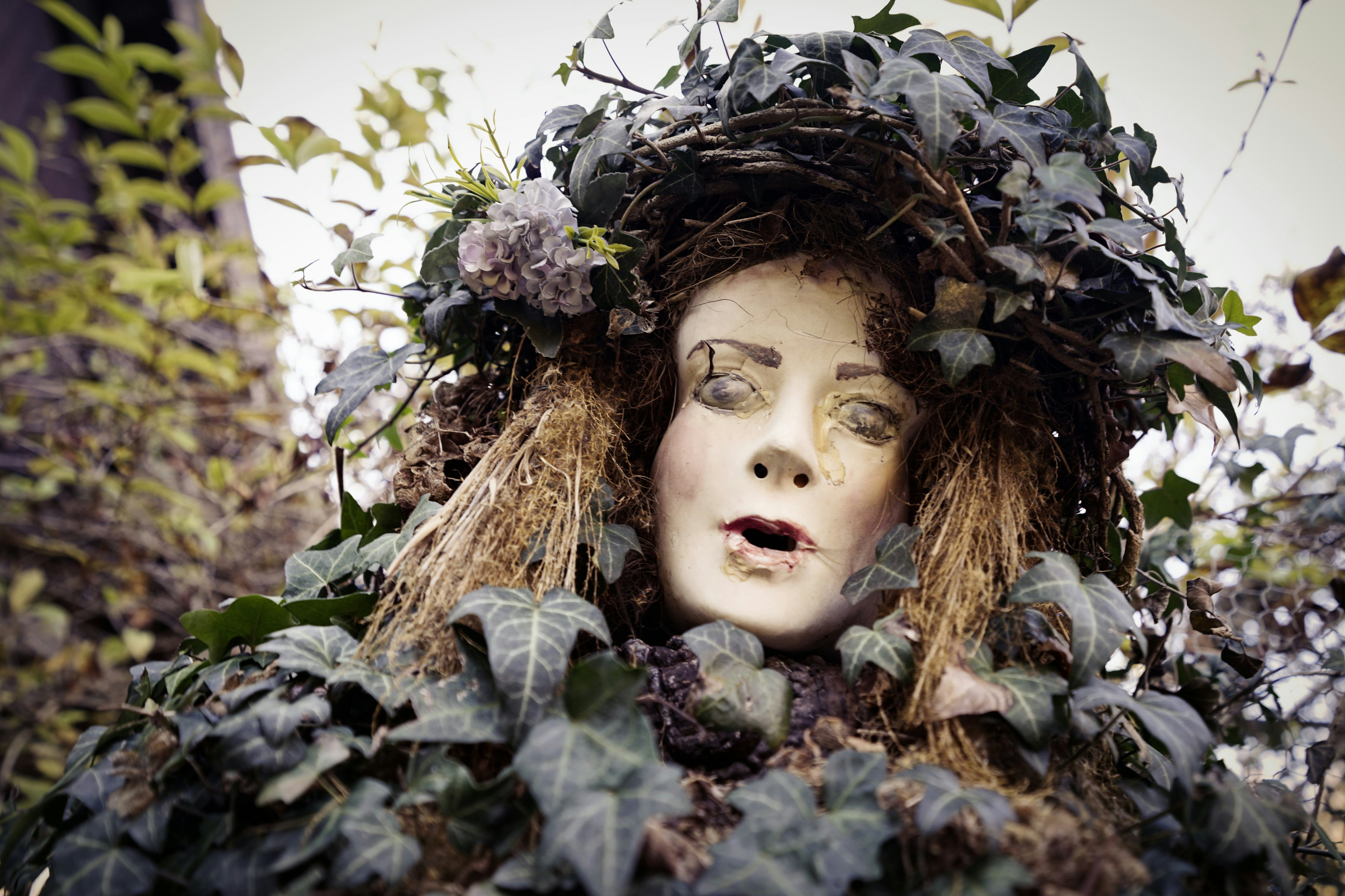 Photo by opernfan17x