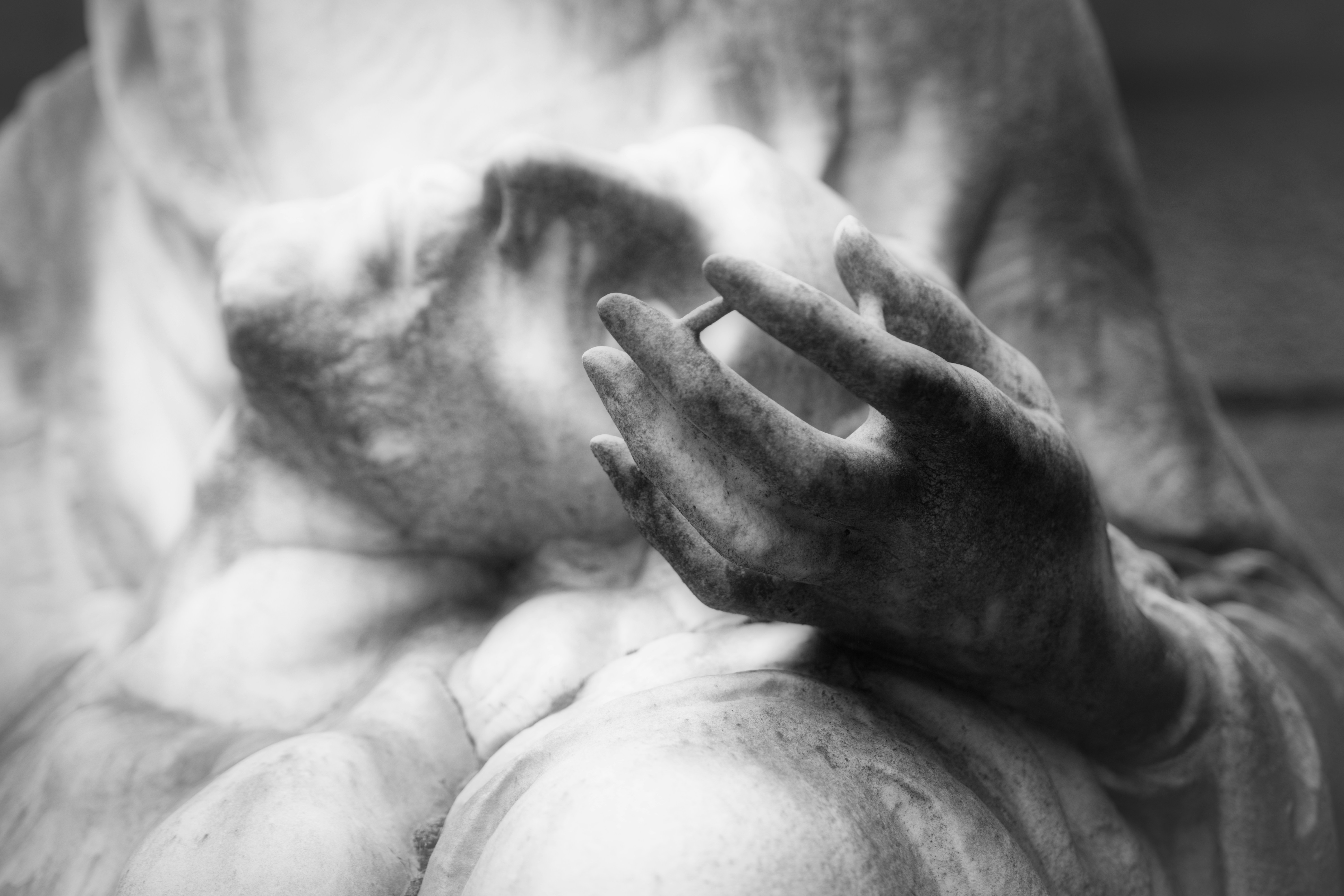 Photo by opernfan17x