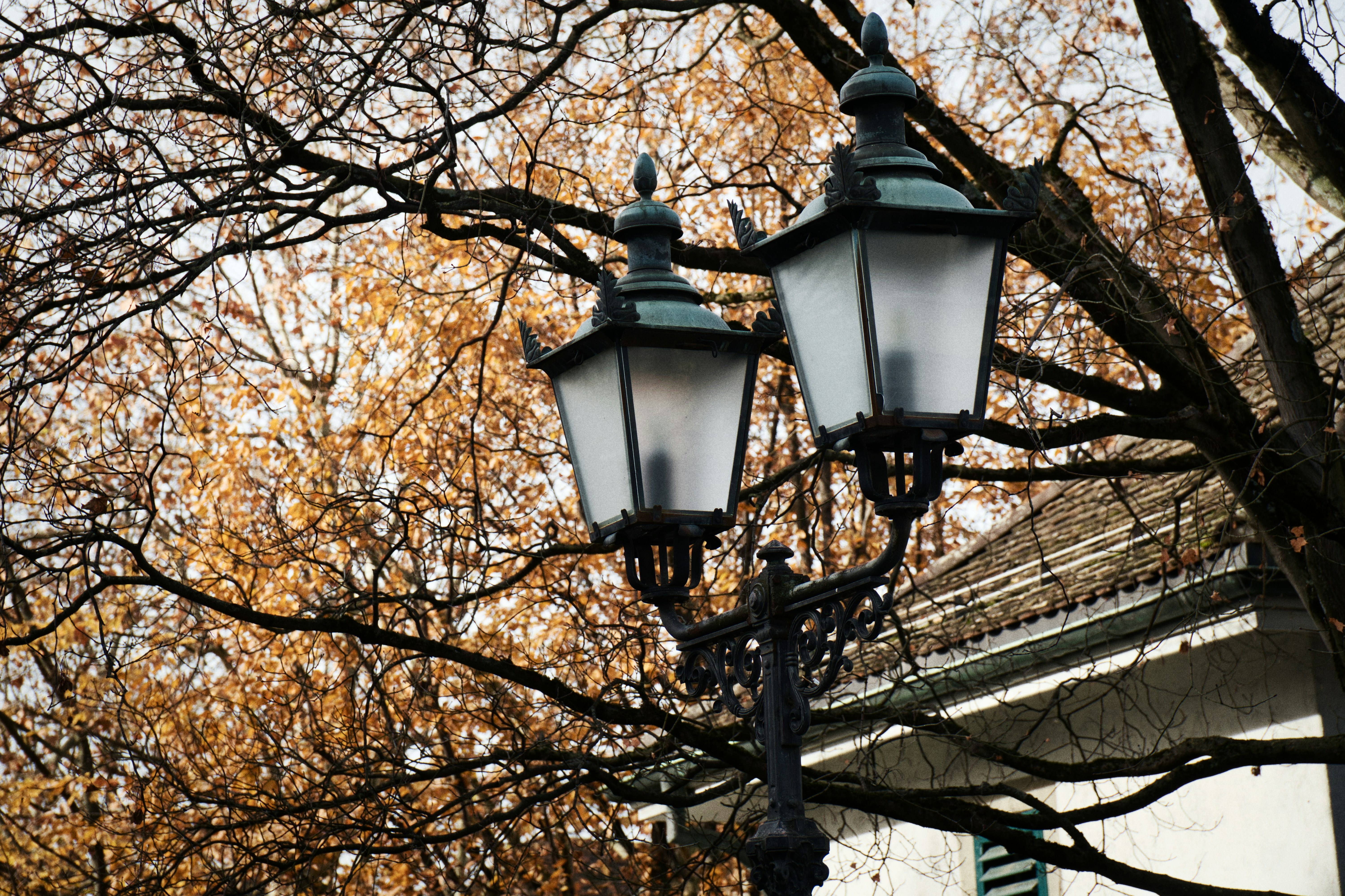 Photo by opernfan17x