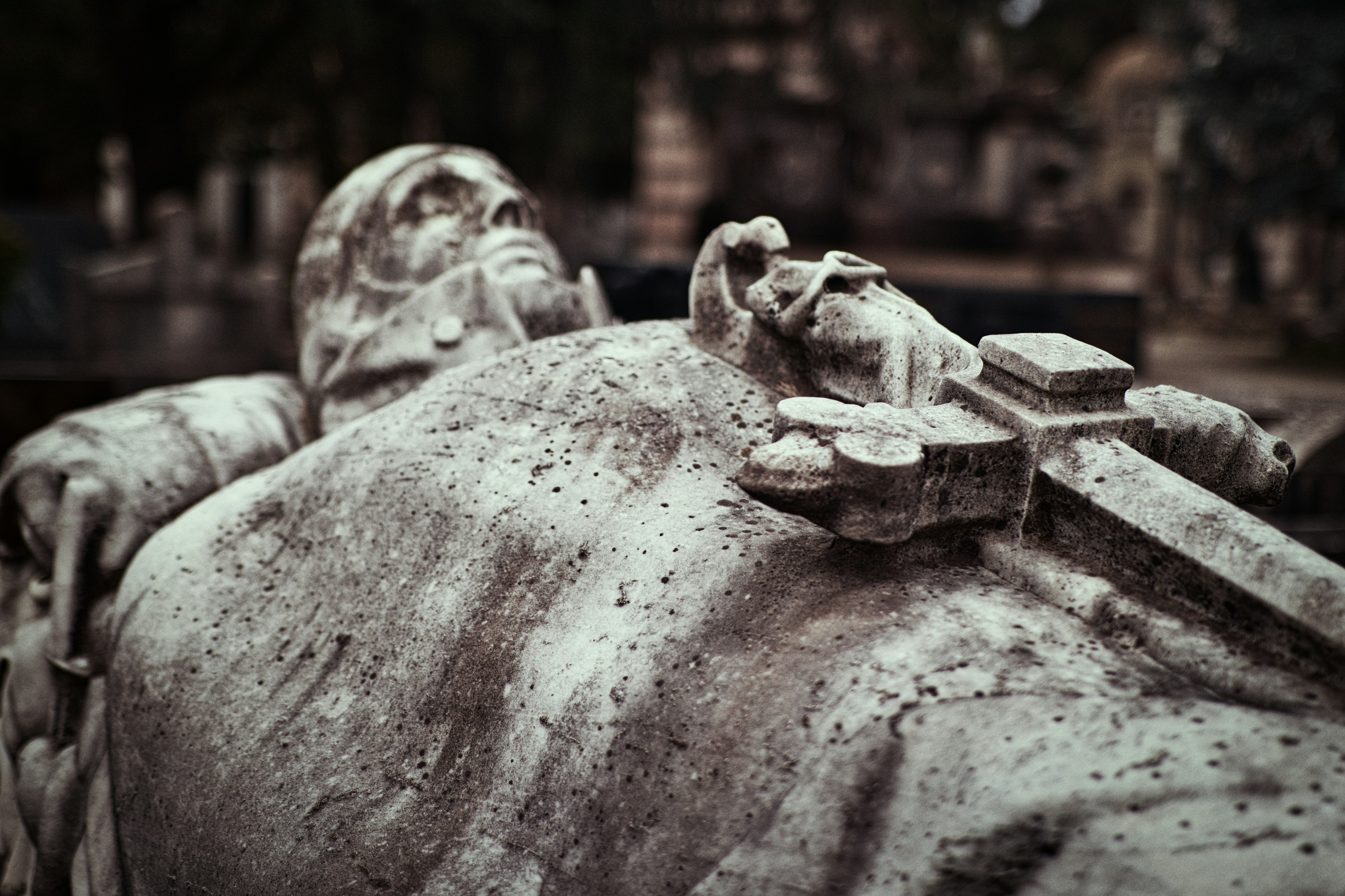 Photo by opernfan17x