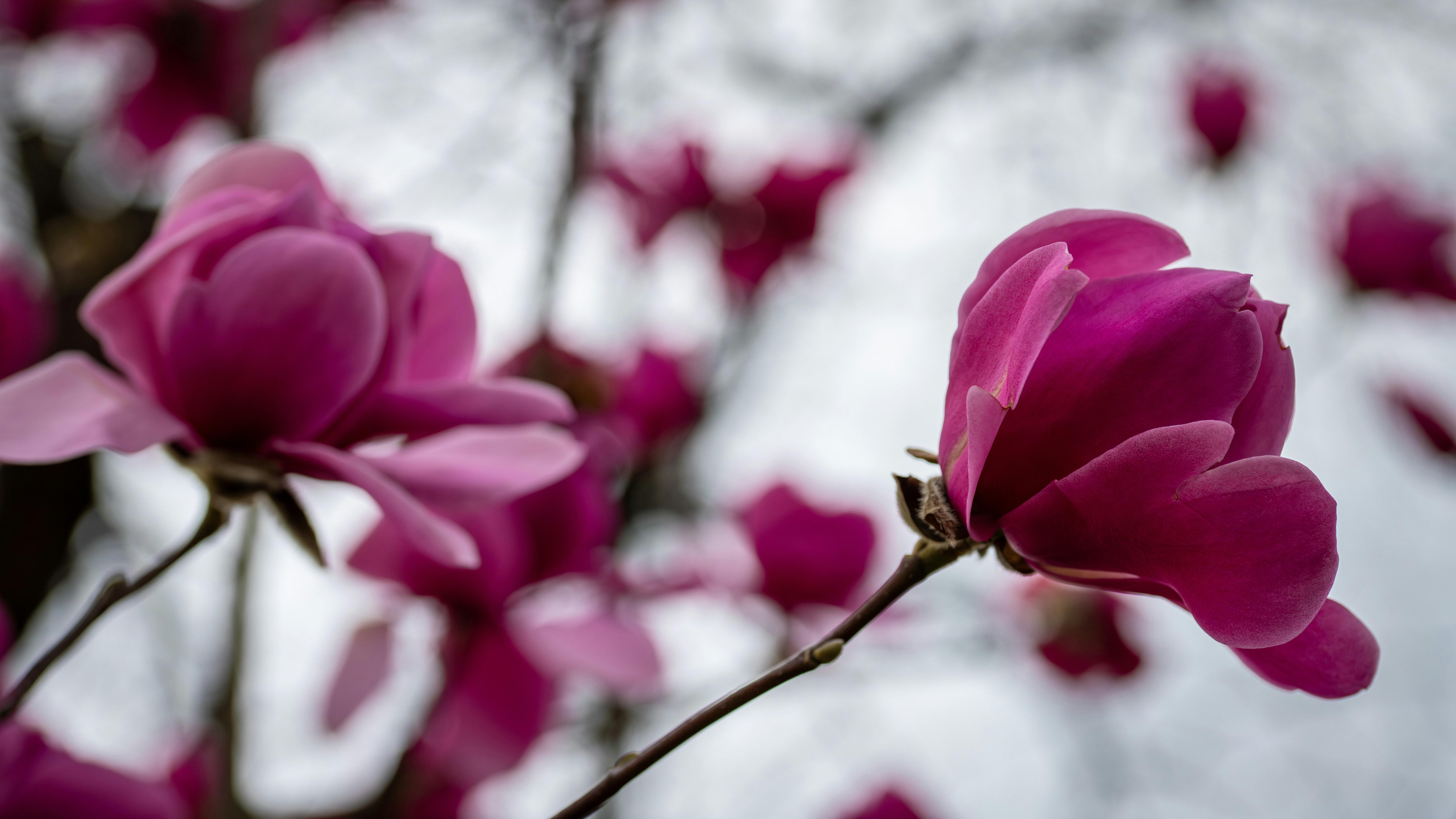 Photo by hdbernd