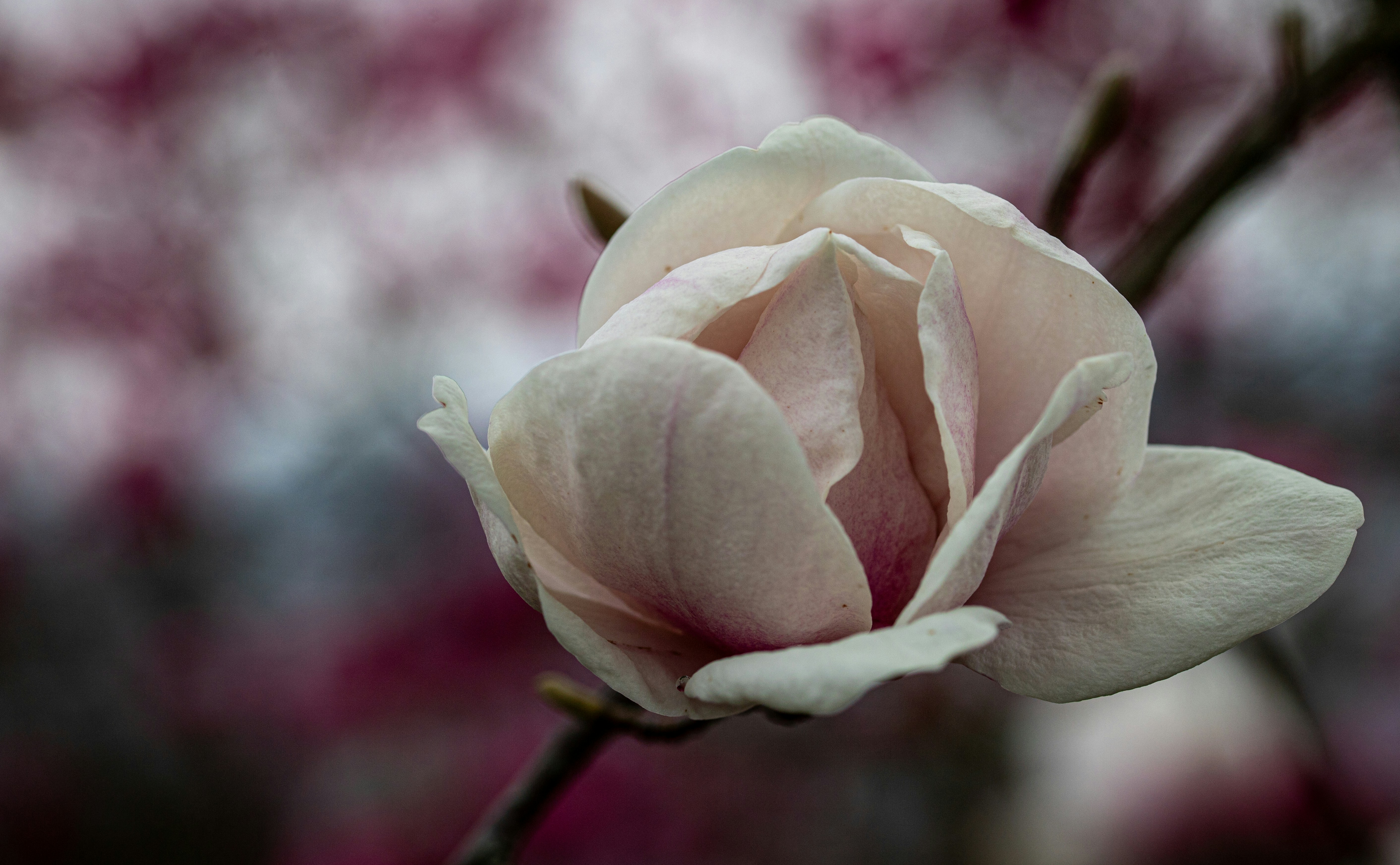 Photo by hdbernd