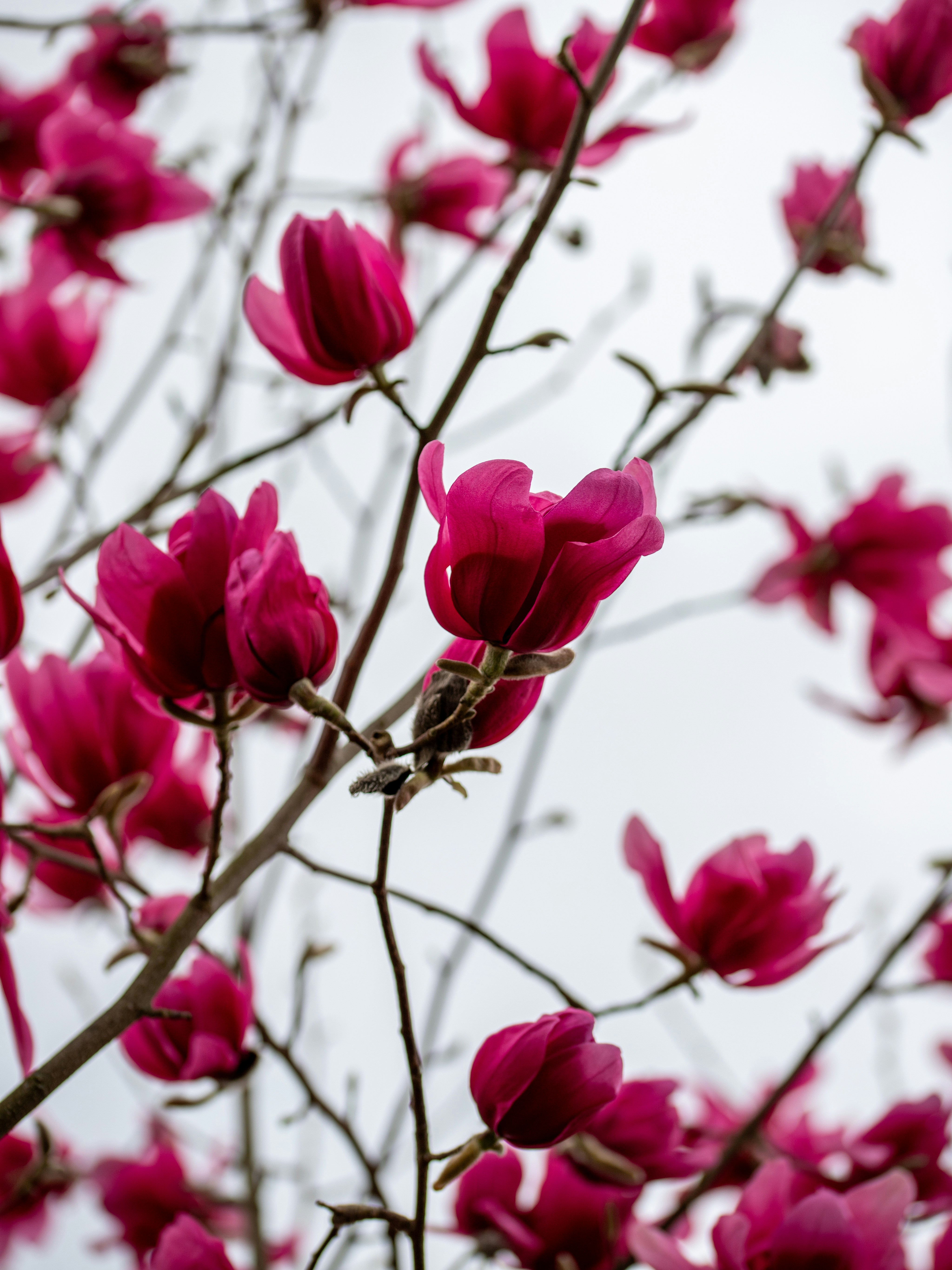 Photo by hdbernd