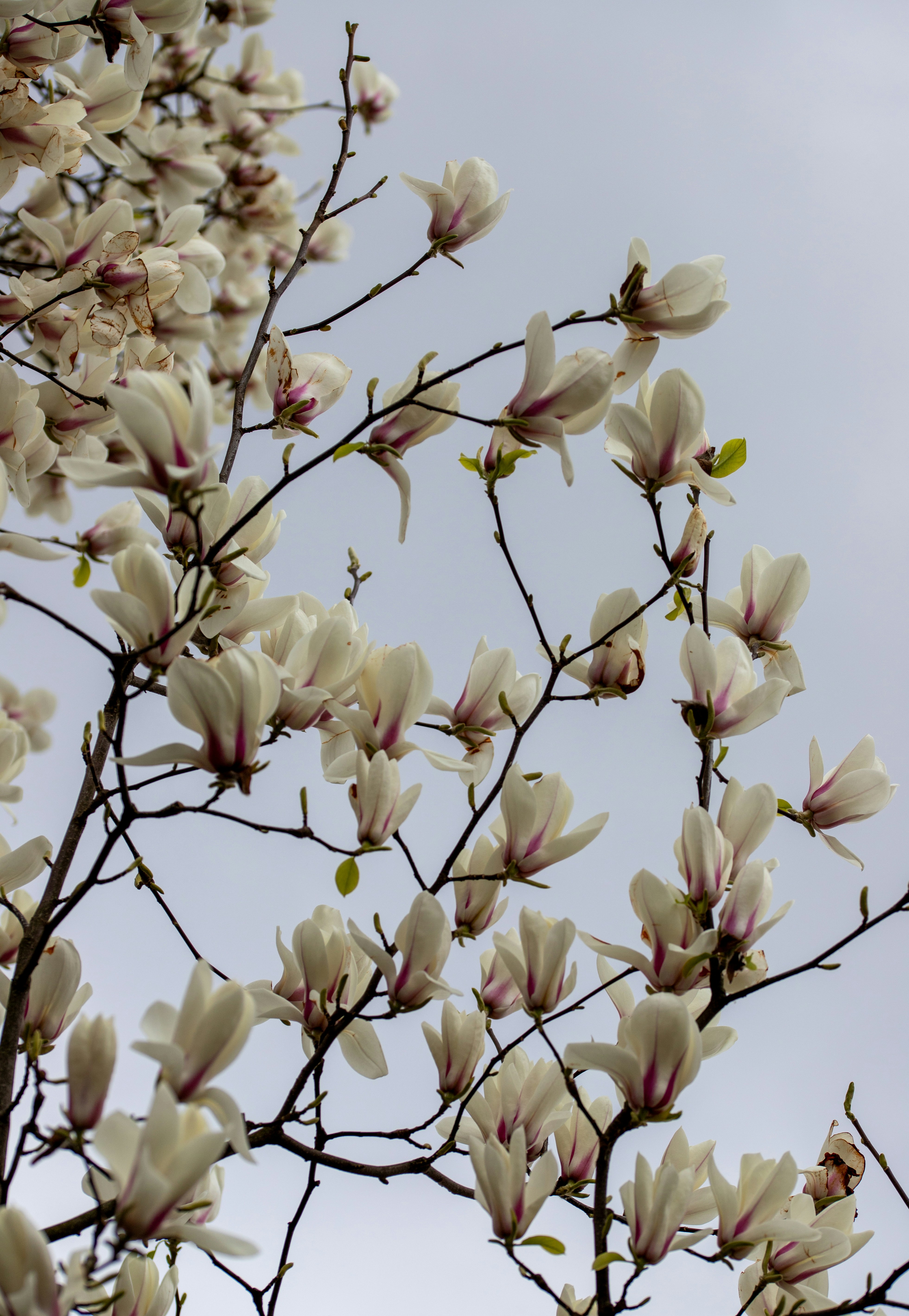 Photo by hdbernd