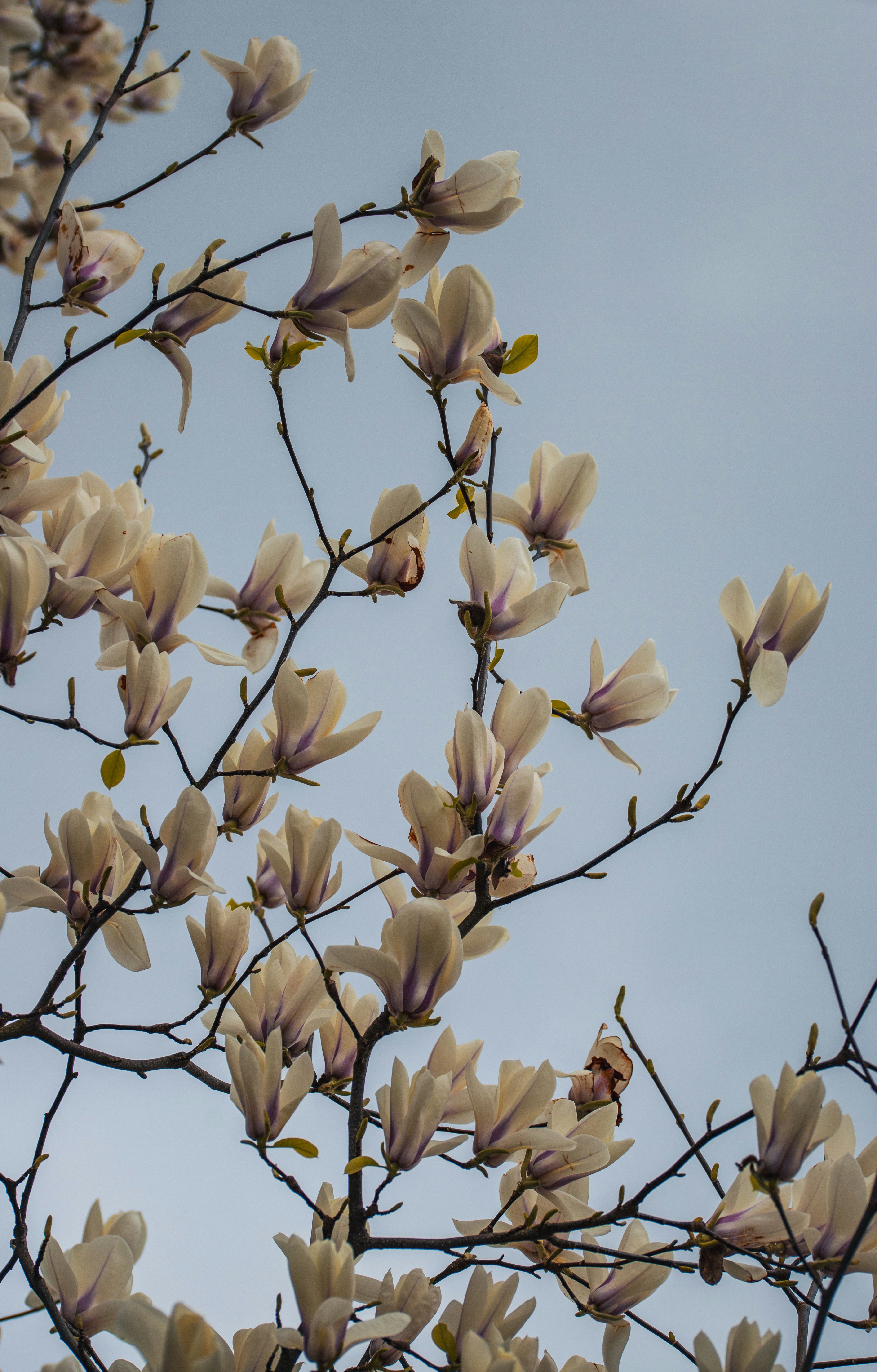 Photo by hdbernd