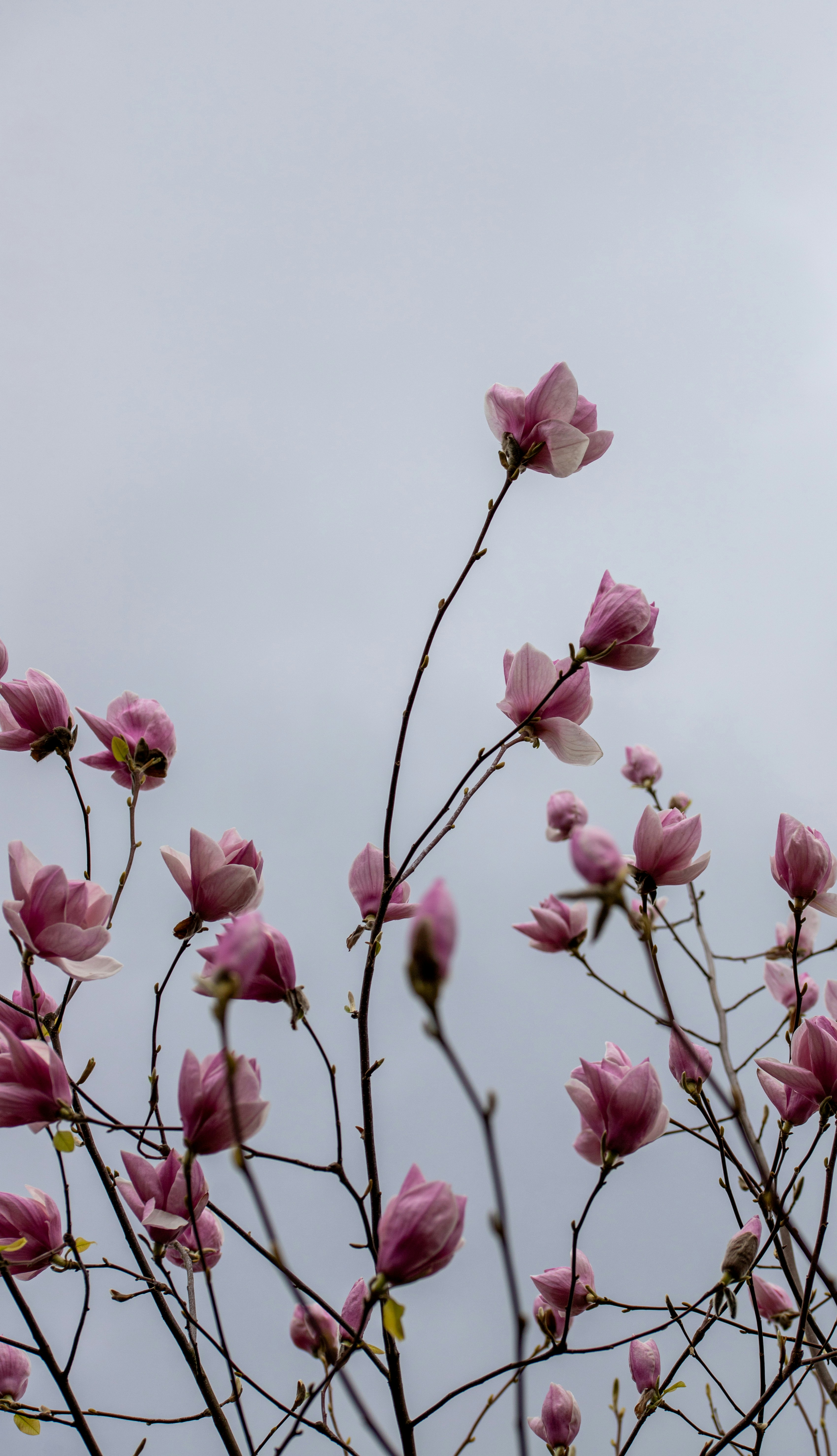Photo by hdbernd