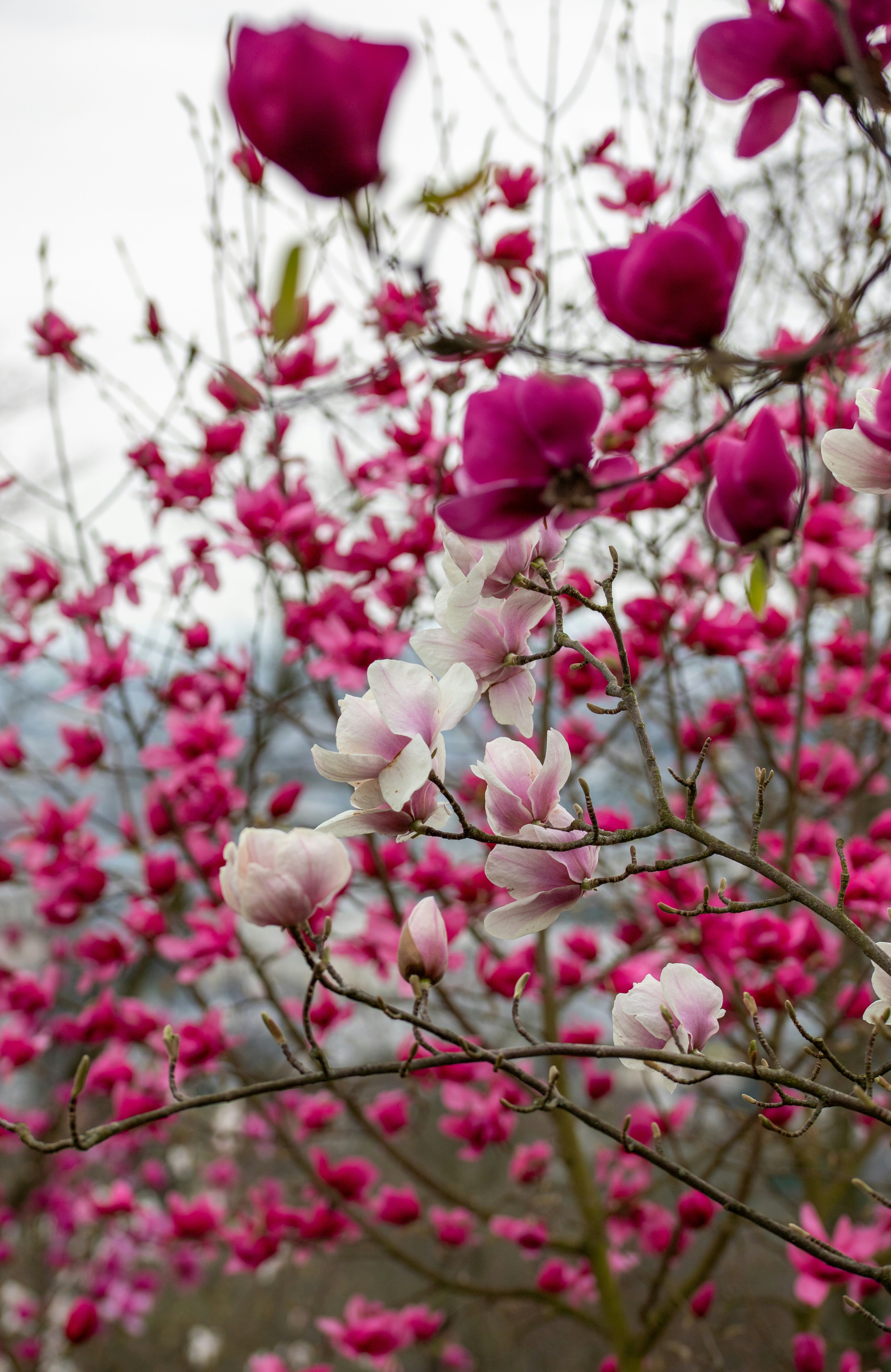 Photo by hdbernd