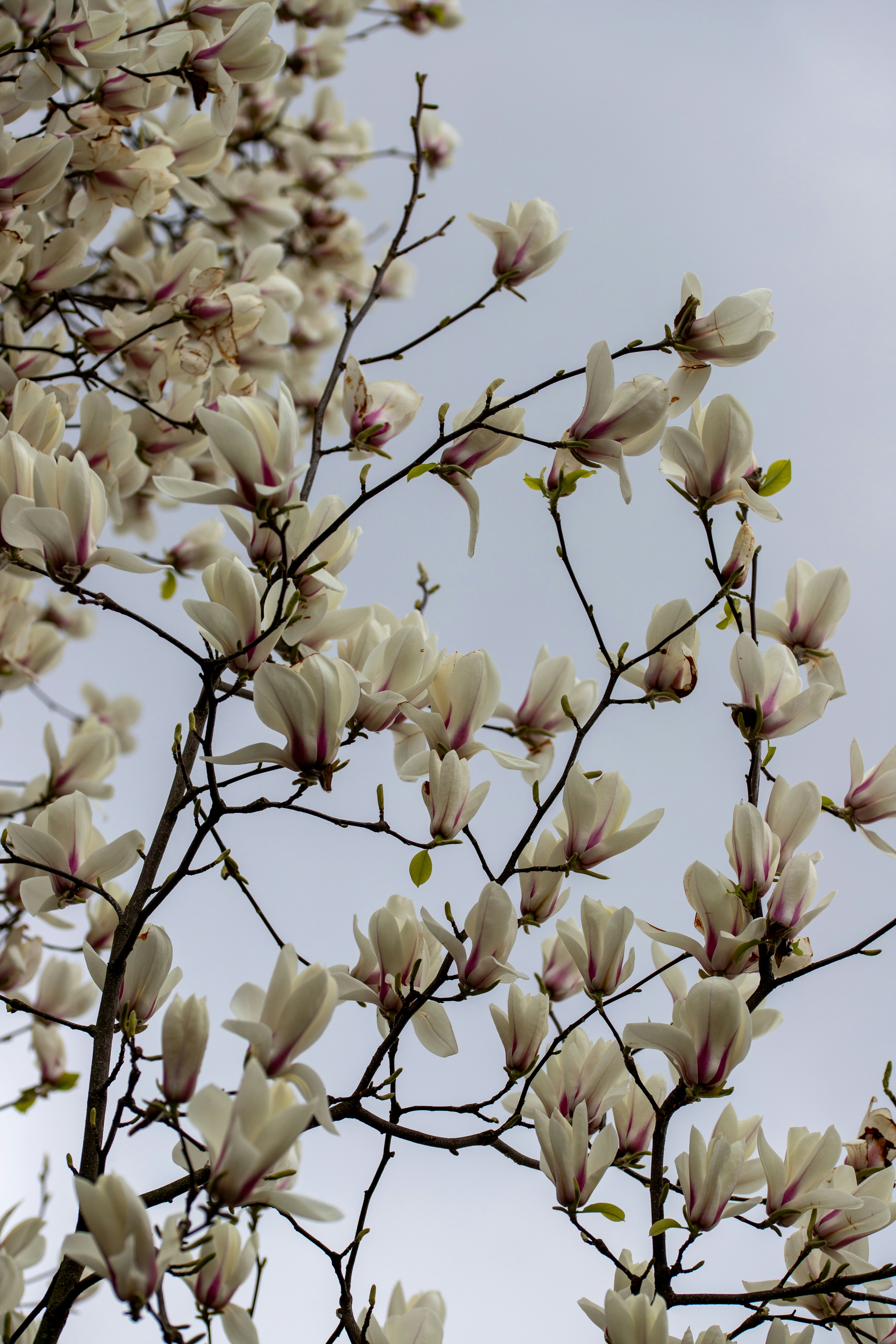 Photo by hdbernd