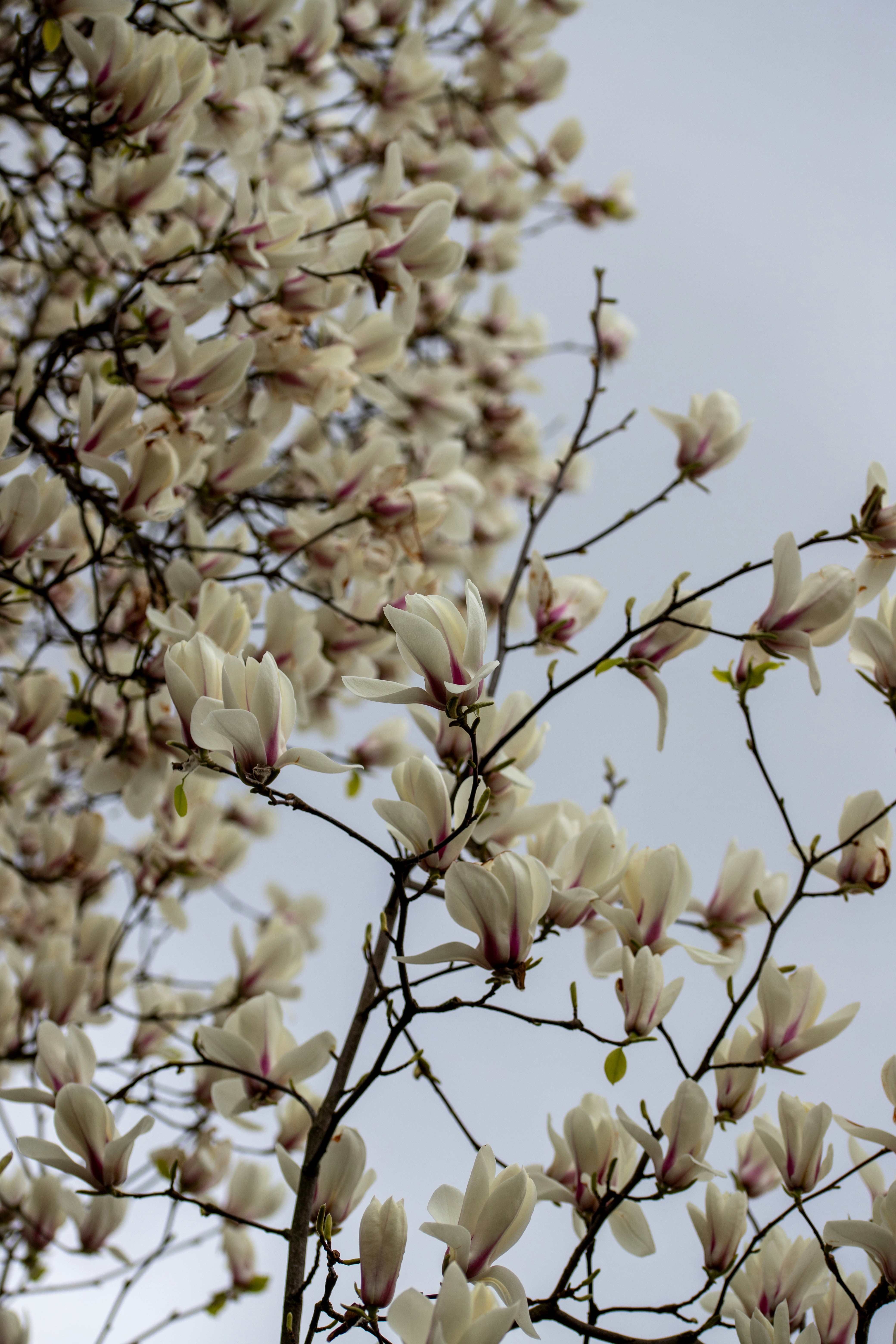 Photo by hdbernd
