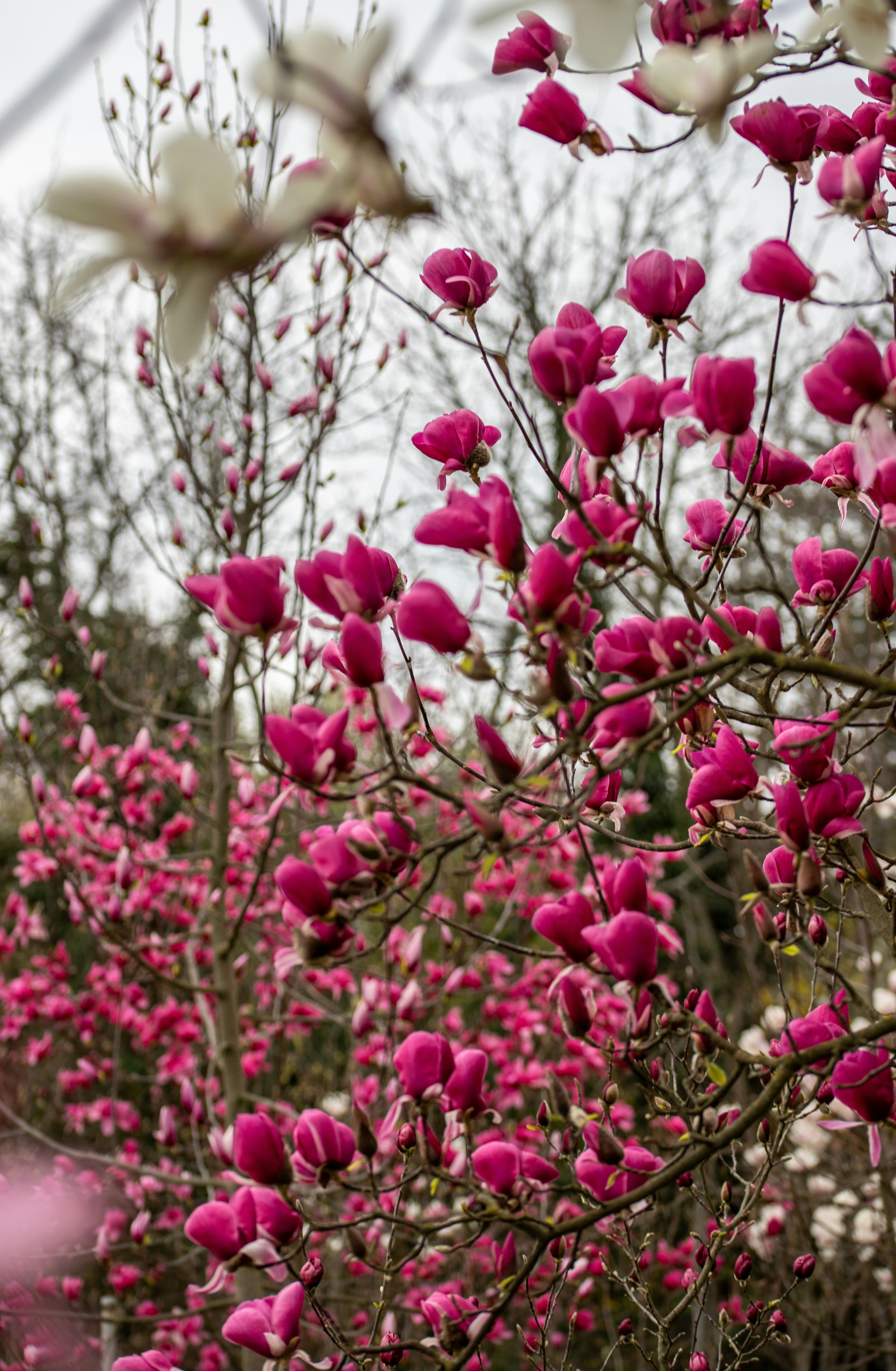 Photo by hdbernd