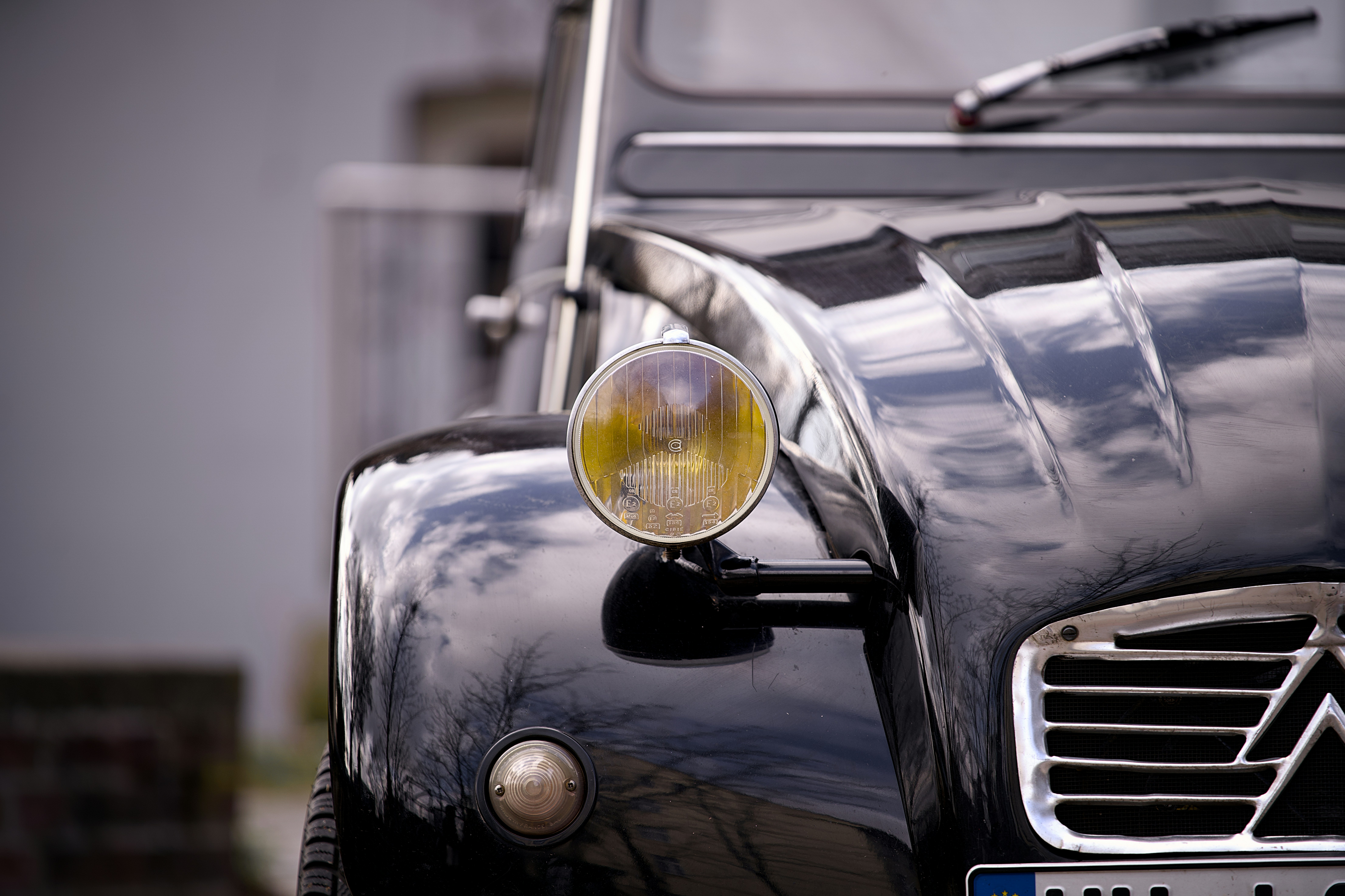 Photo by soroushzargar