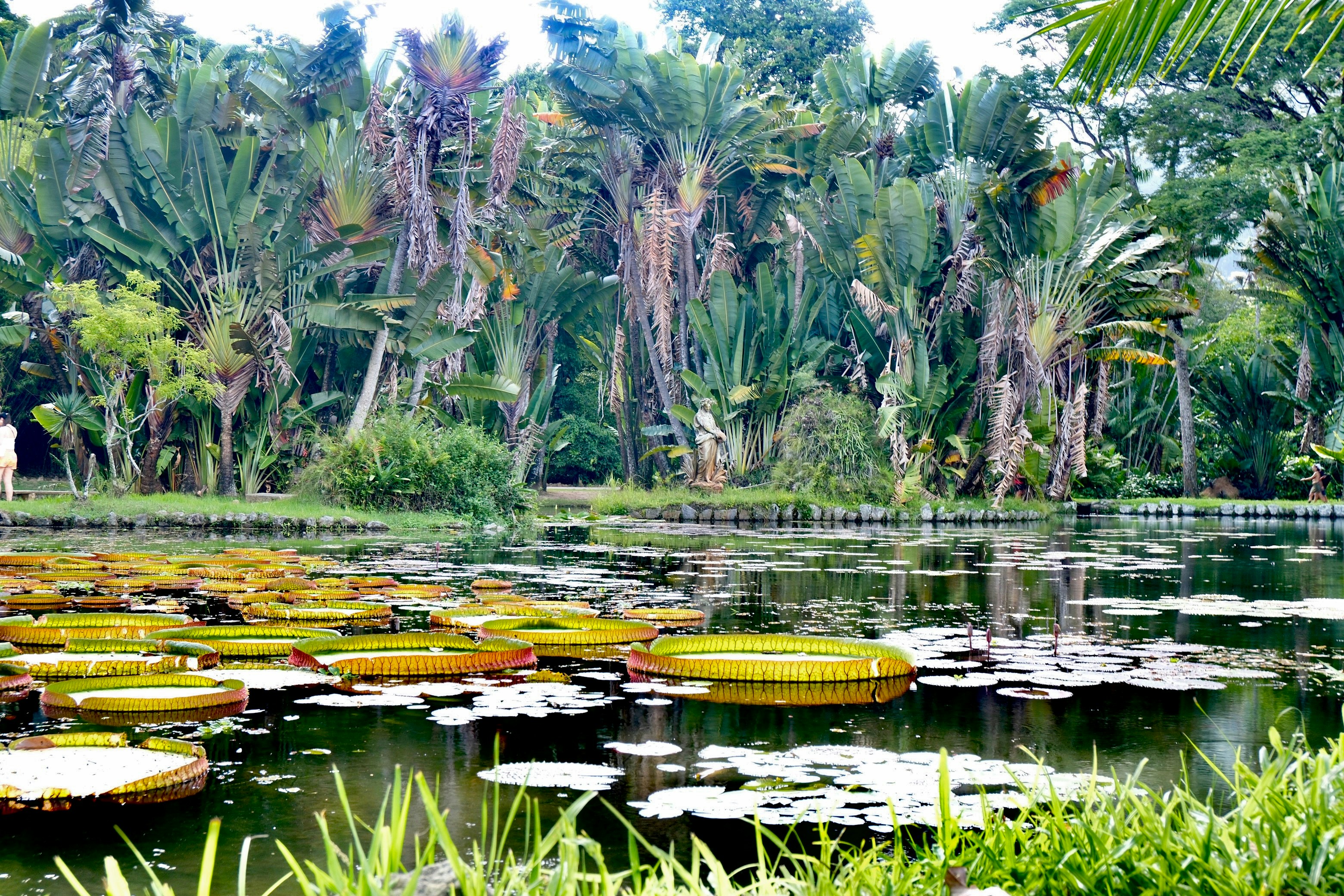 Rio de Janeiro Botanical Garden