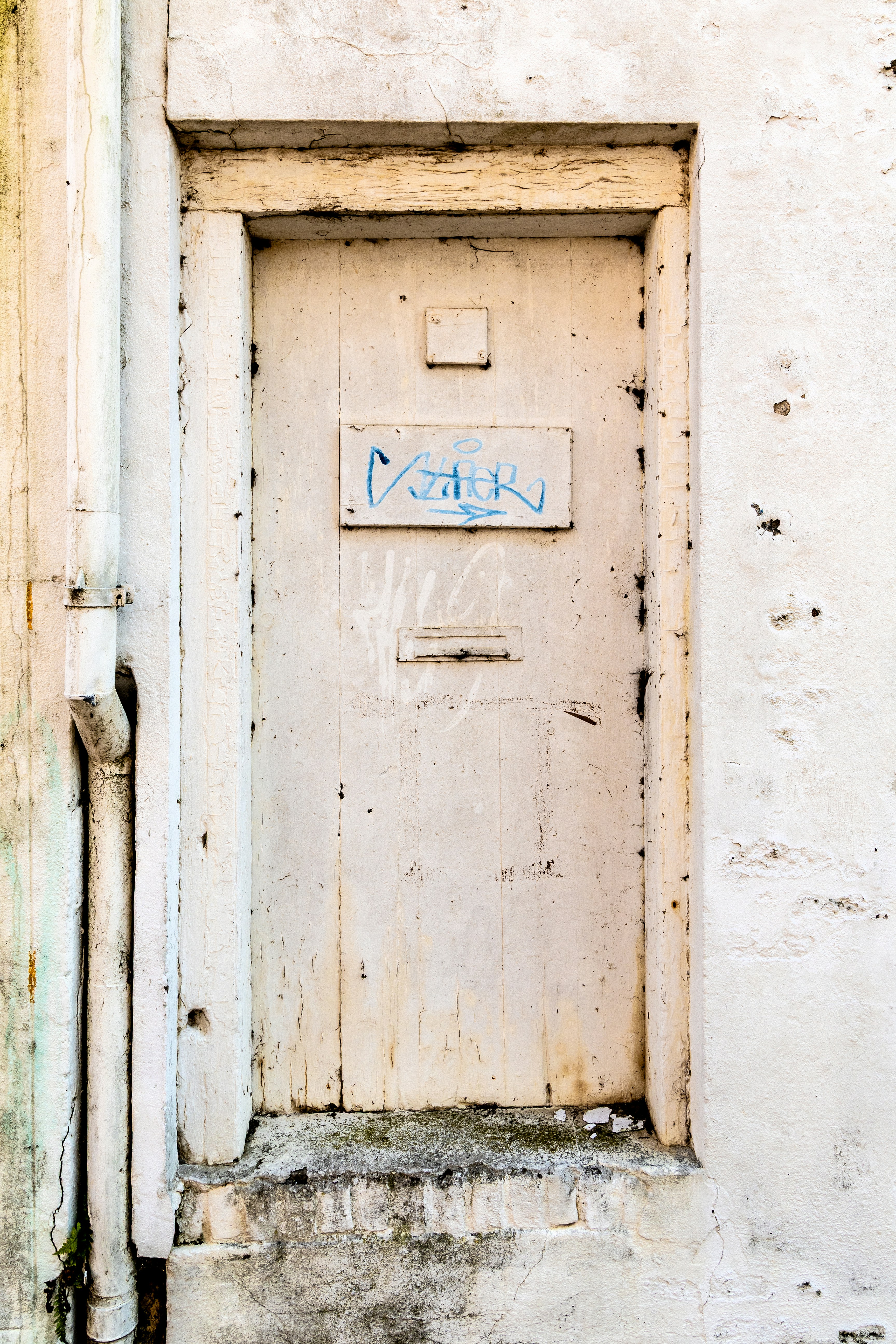 Photo by conniedevries