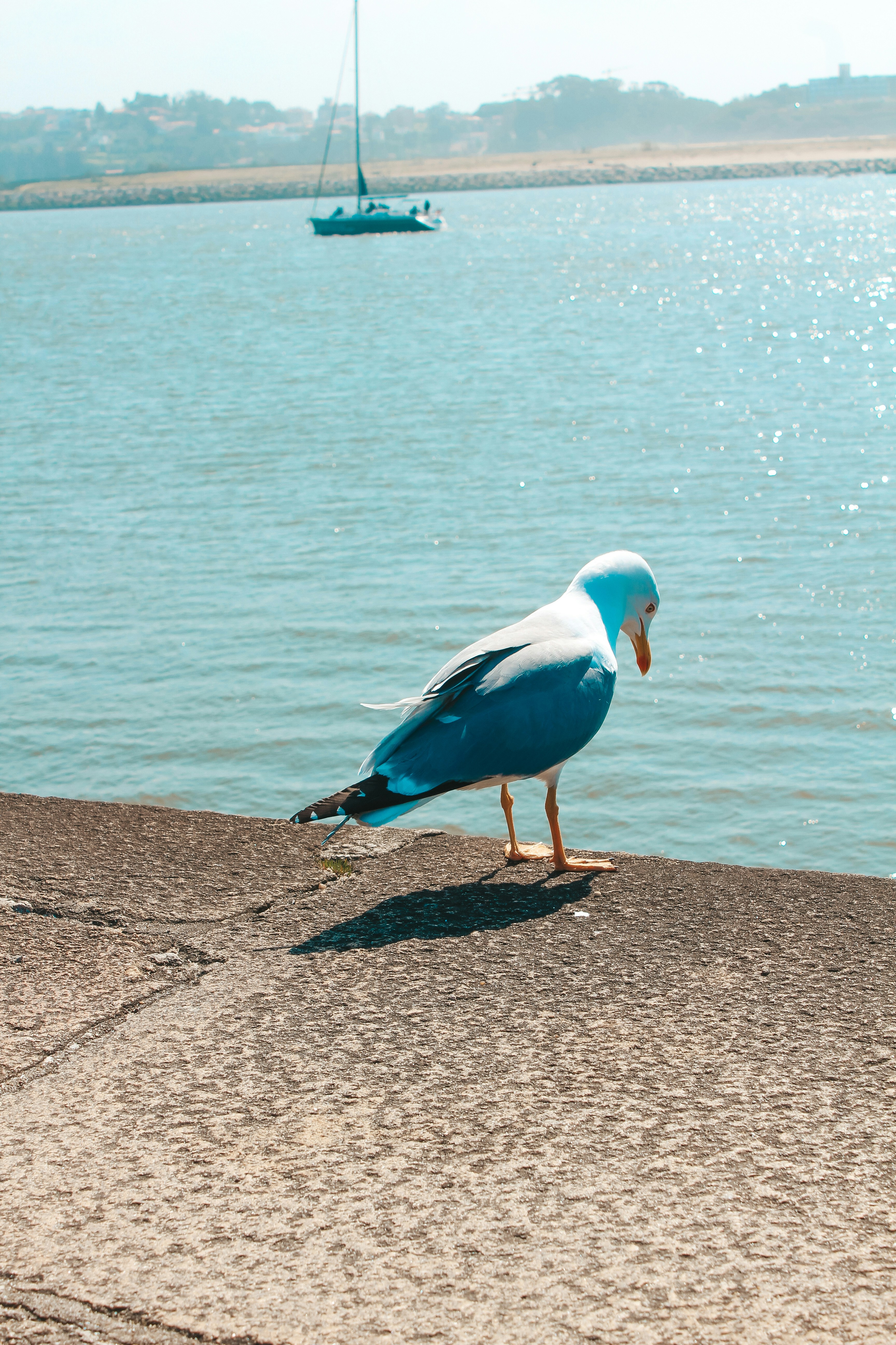 Photo by feliciafelicia