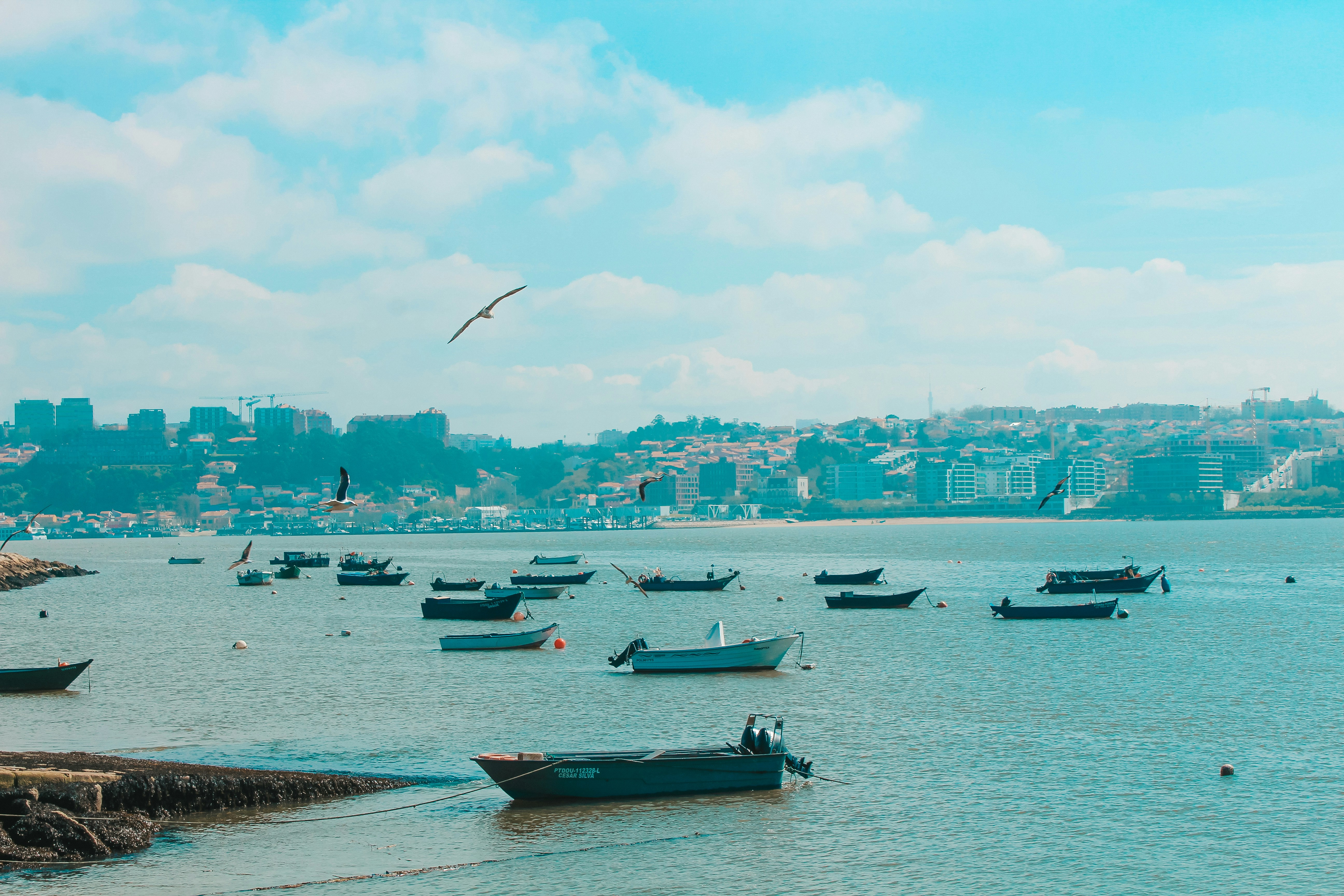 Photo by feliciafelicia