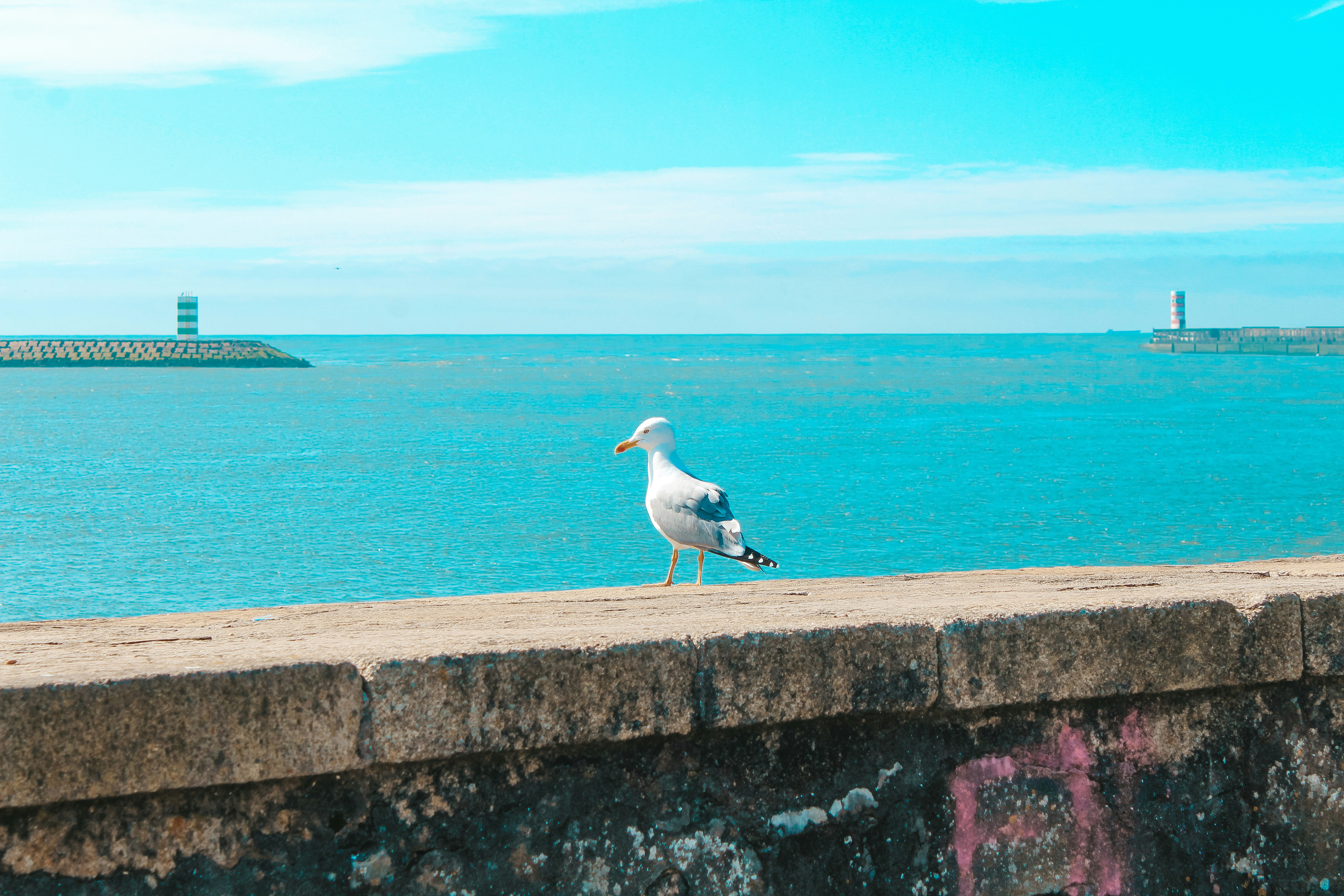 Photo by feliciafelicia