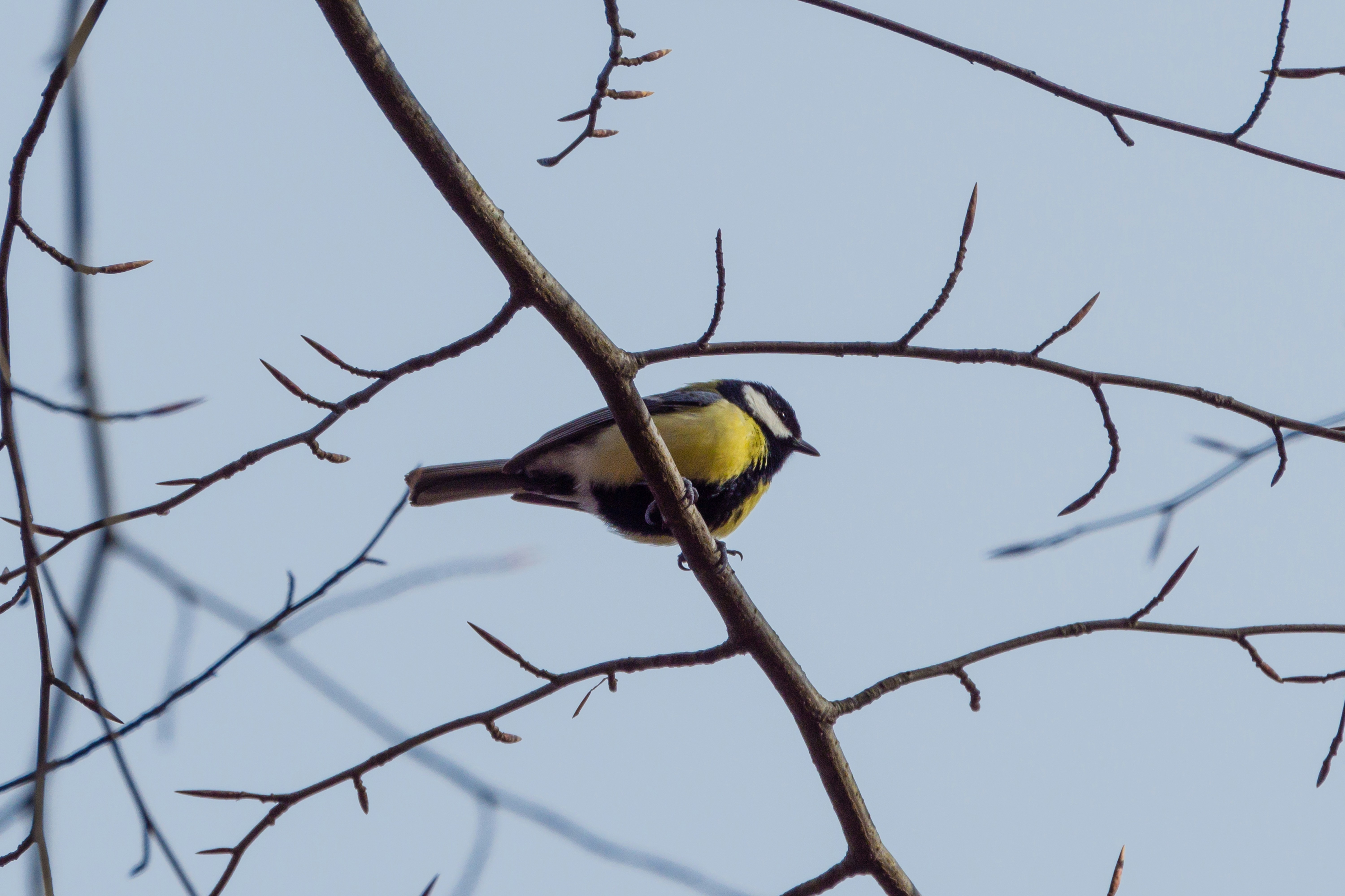 Photo by jastorfproductions