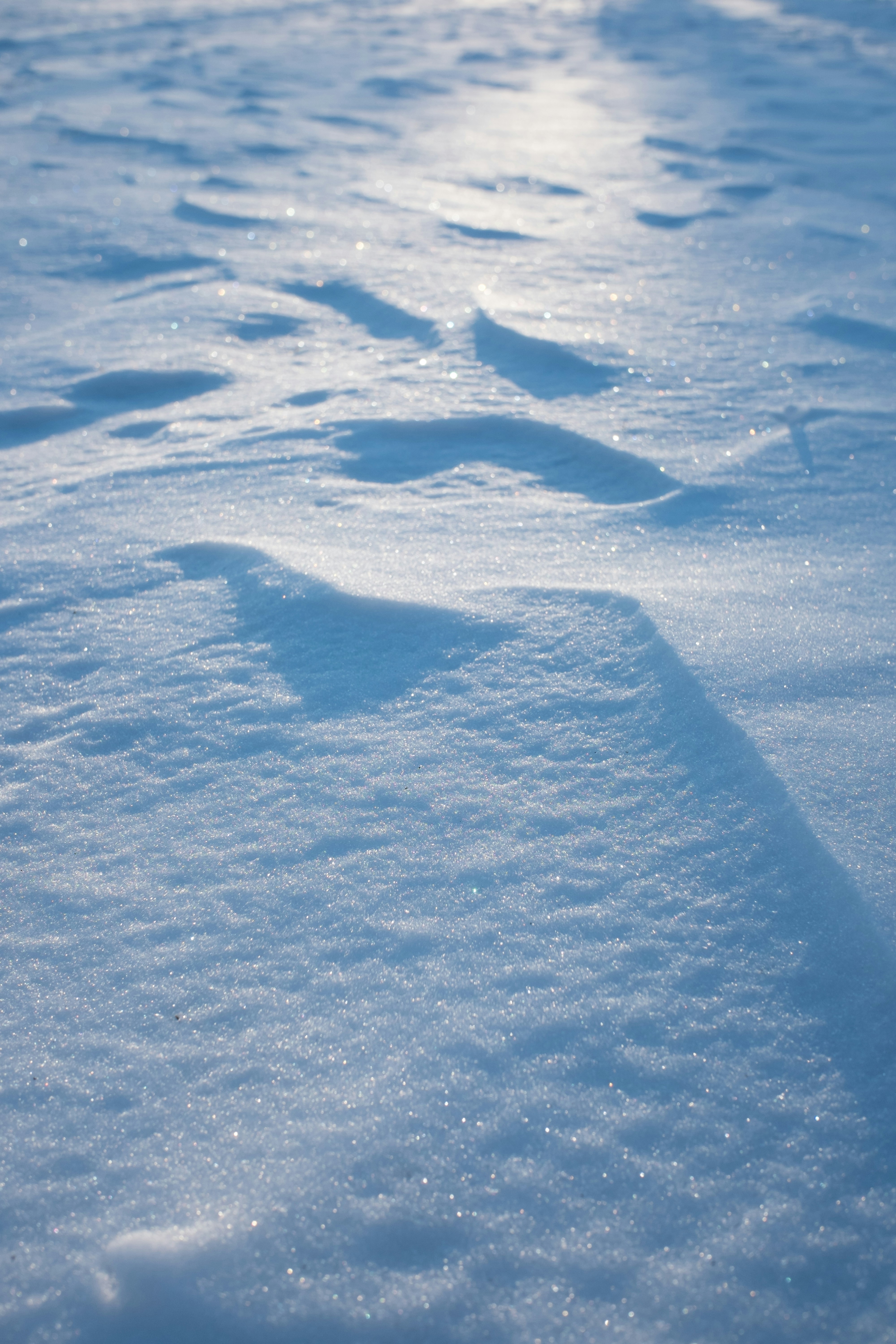 Photo by jastorfproductions