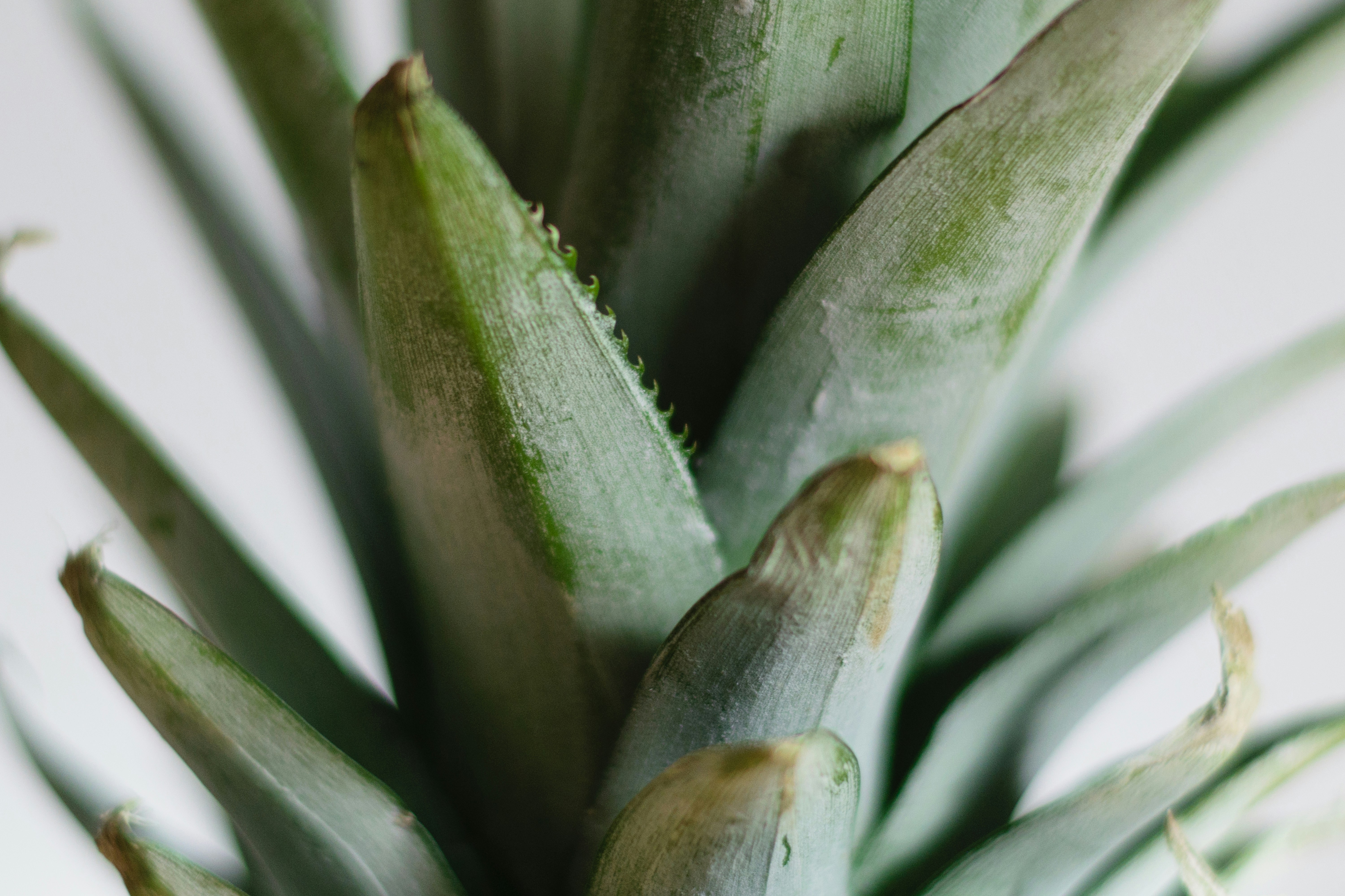 Photo by jastorfproductions