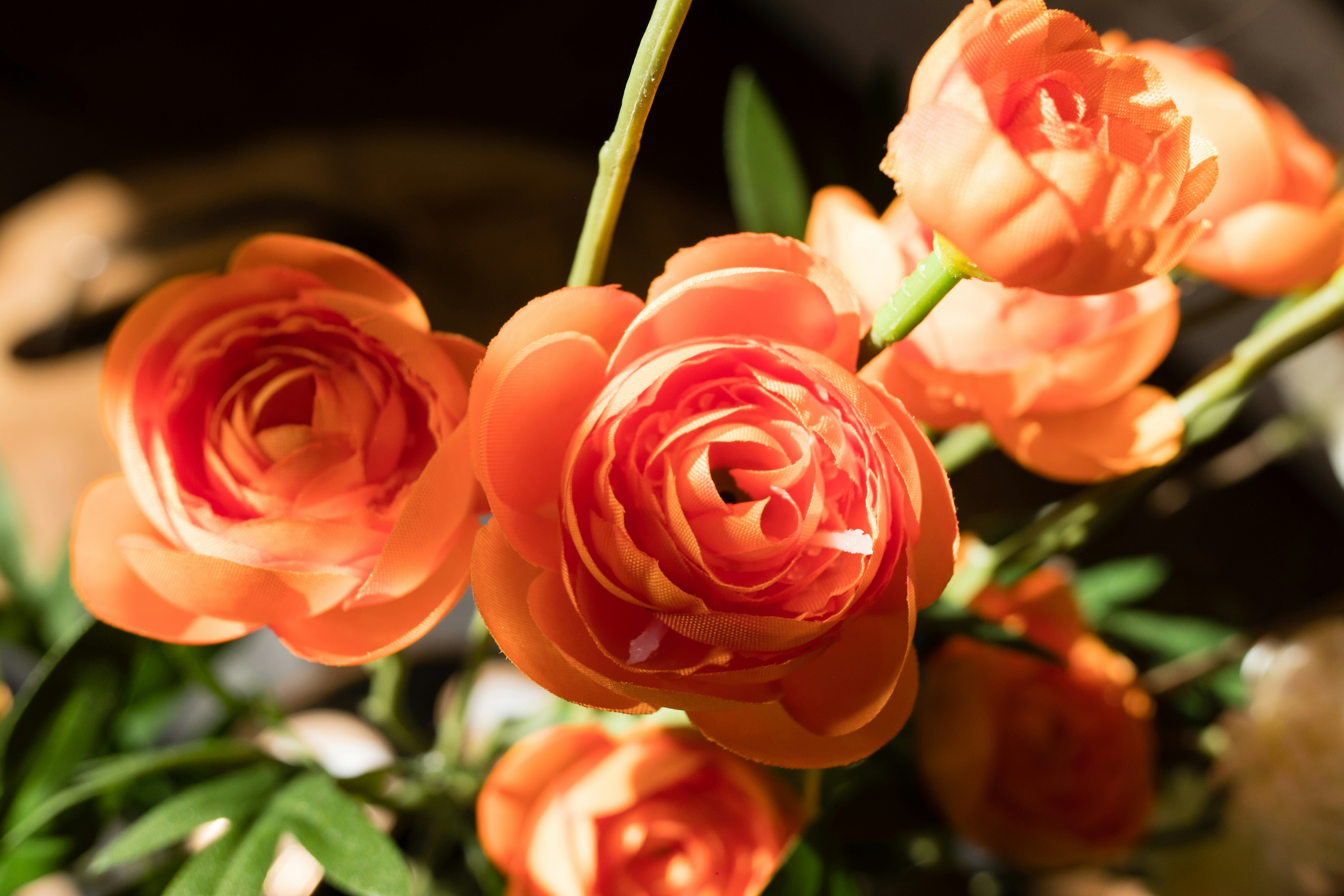 Photo by jastorfproductions