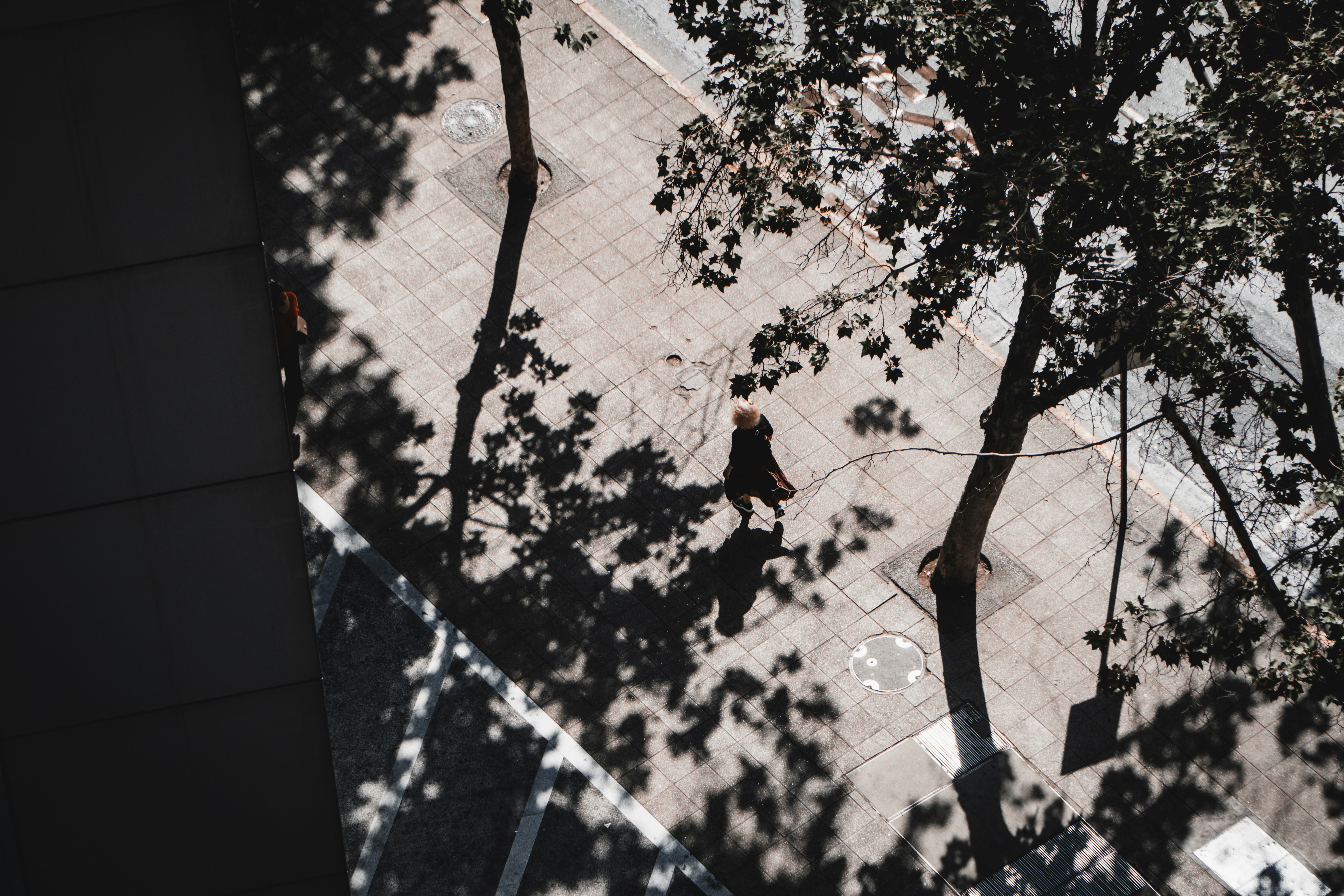 Two people walk on a sun-dappled sidewalk under trees.