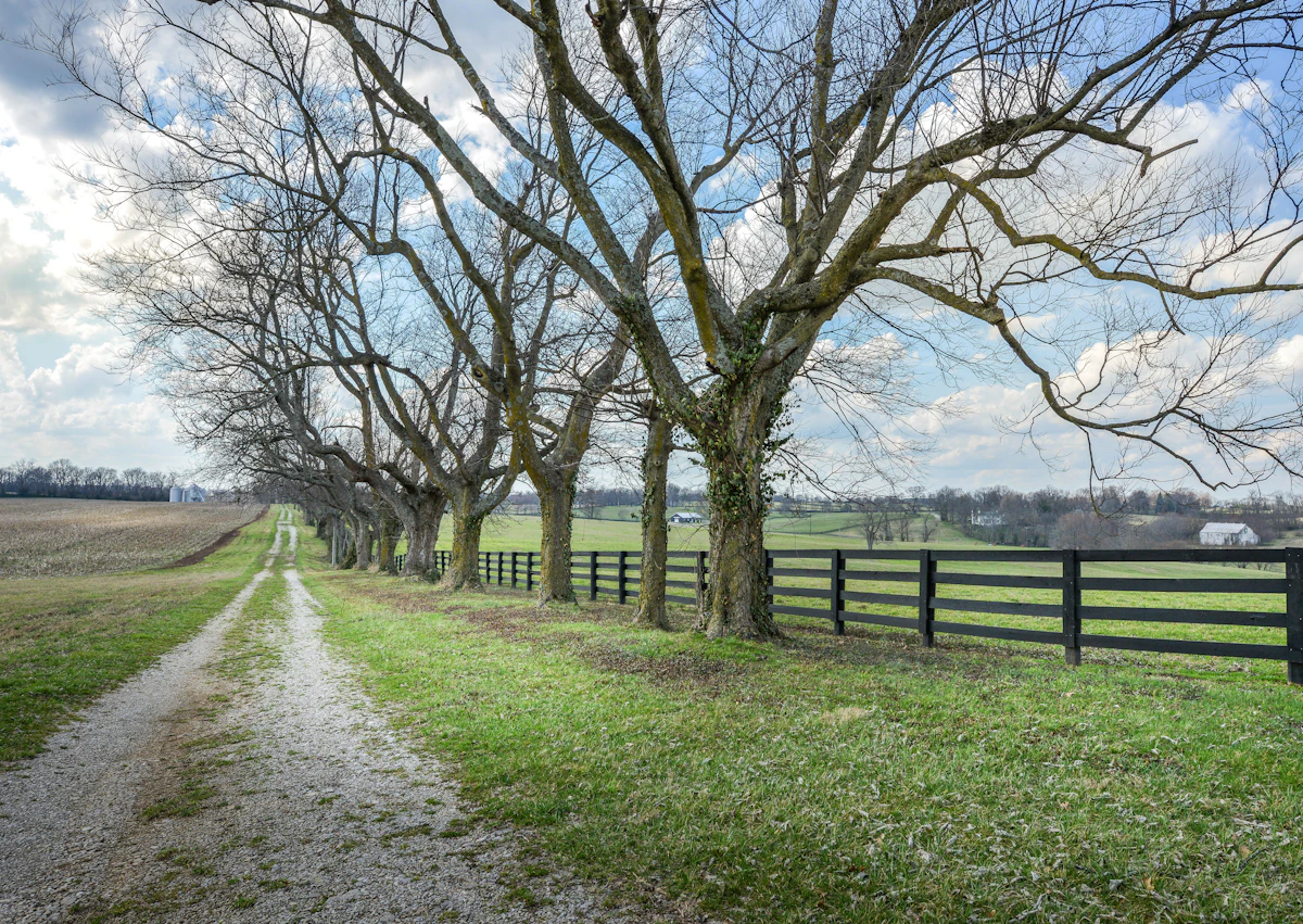 Gainesway / Belleau Woods